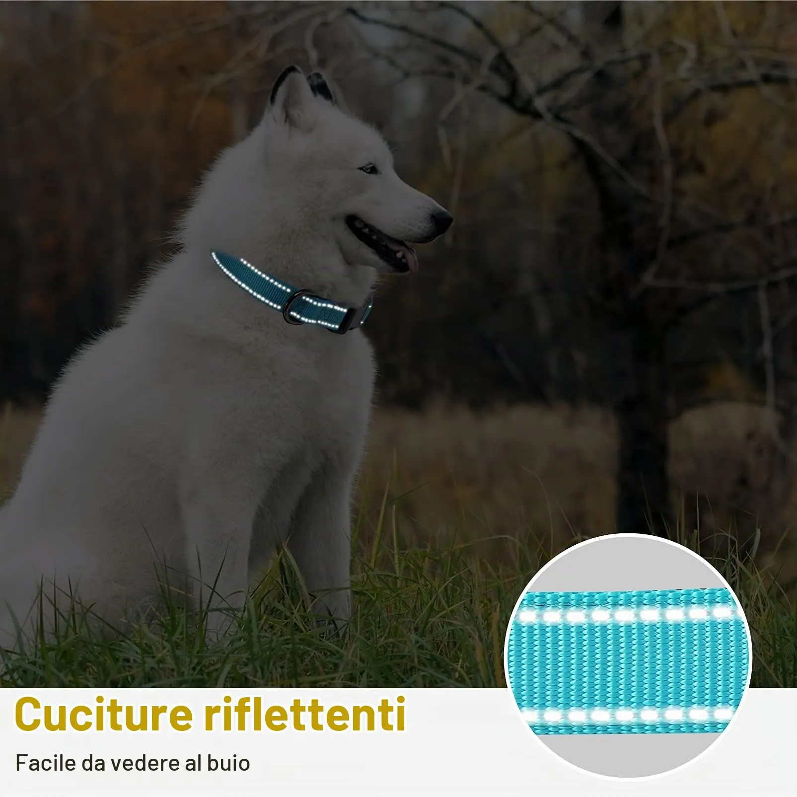 HEELE Collare per Cani, Collare Cane Riflettente Imbottito Nylon Regolabile Traspirante Collari per Cani, Blu, XS(20-30cm) - immagine 6