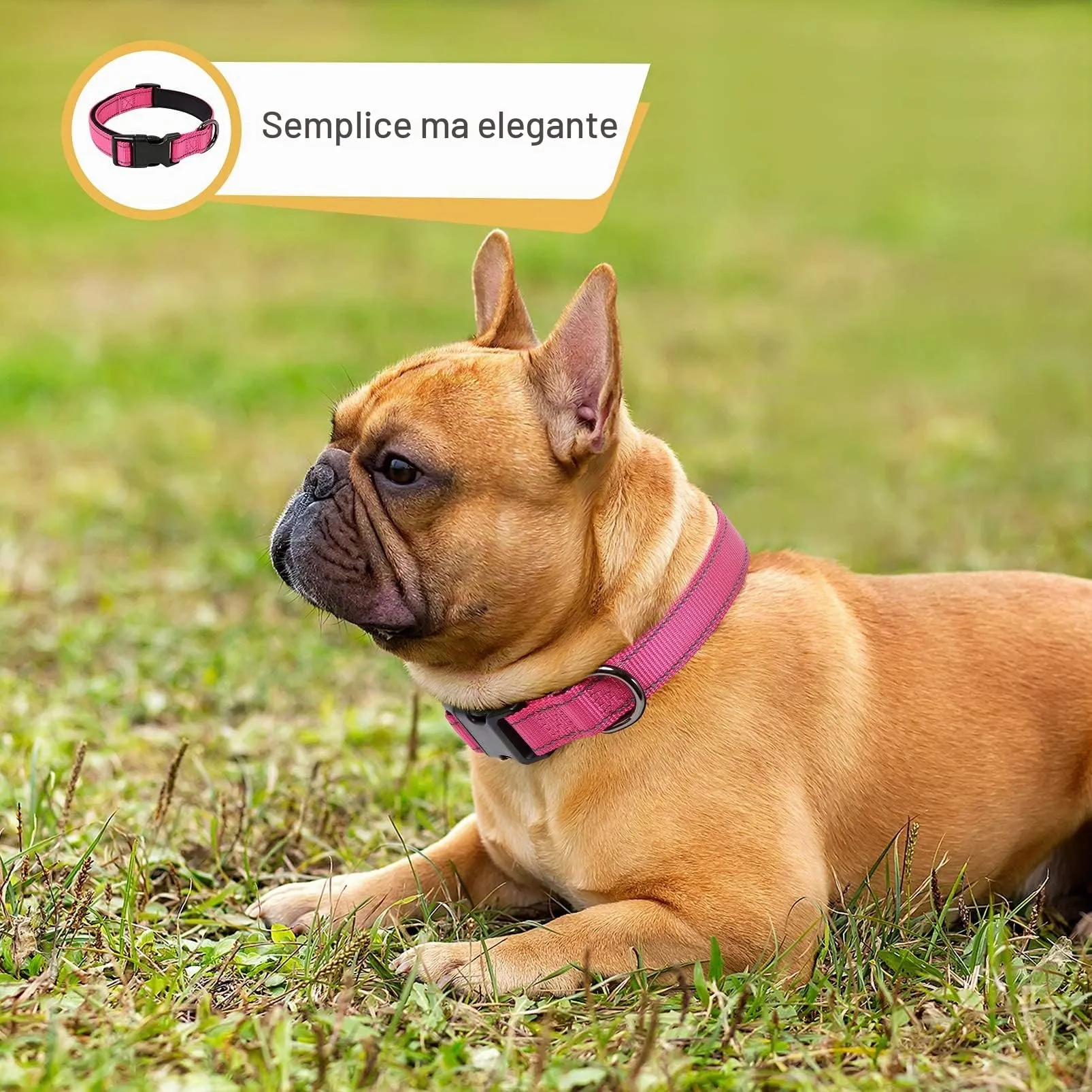 HEELE Collare per Cani, Collare Cane Riflettente Imbottito Nylon Regolabile Traspirante Collari per Cani, Rosa, XS(20-30cm) - immagine 5