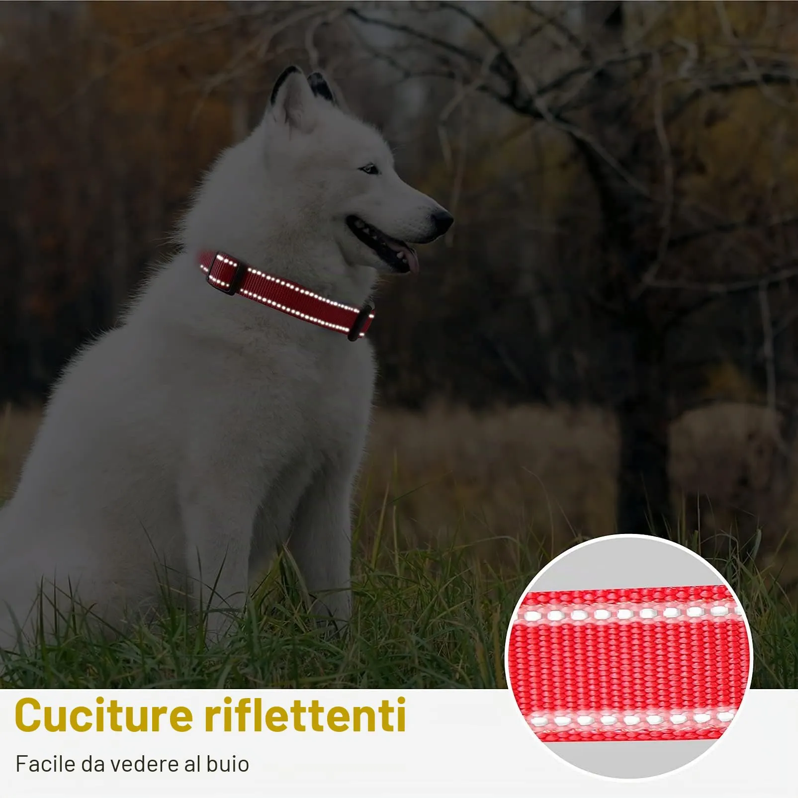 HEELE Collare per Cani, Collare Cane Riflettente Imbottito Nylon Regolabile Traspirante Collari per Cani, Rosso, XS(20-30cm) - immagine 6