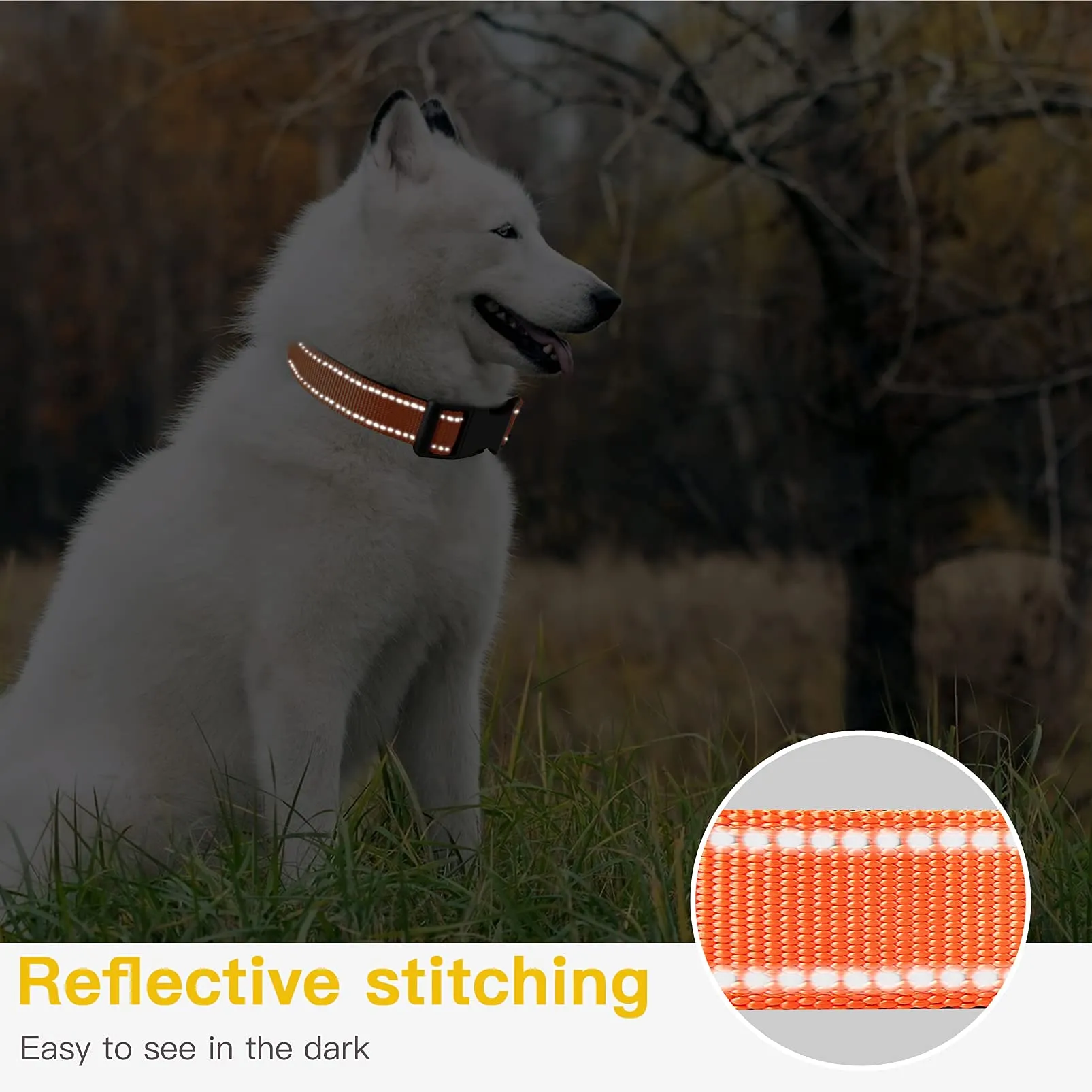 HEELE Collare per Cani, Collare Cane Riflettente Imbottito Nylon Regolabile Traspirante Collari per Cani, Arancione, XS(20-30cm) - immagine 6