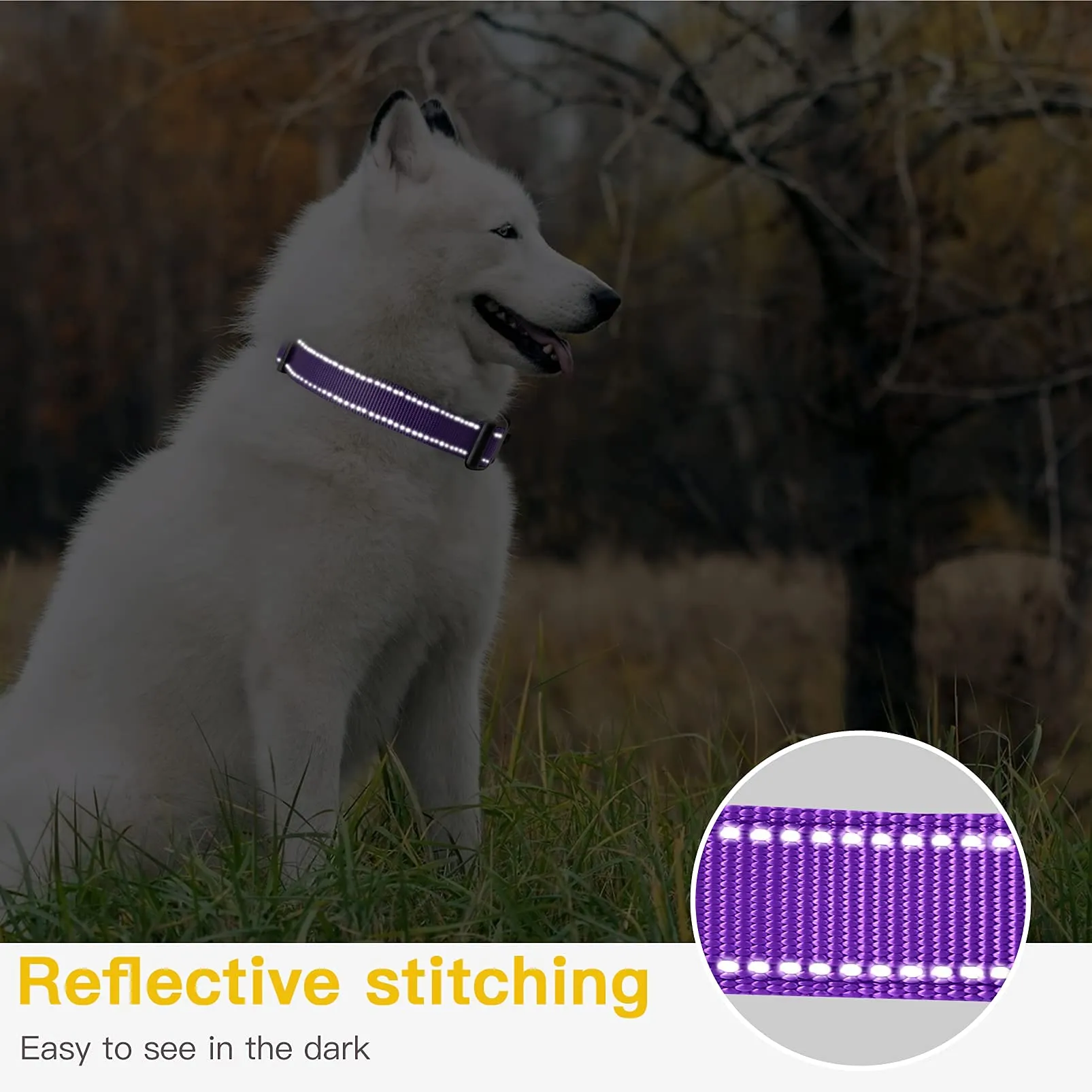 HEELE Collare per Cani, Collare Cane Riflettente Imbottito Nylon Regolabile Traspirante Collari per Cani, Viola, XS(20-30cm) - immagine 6