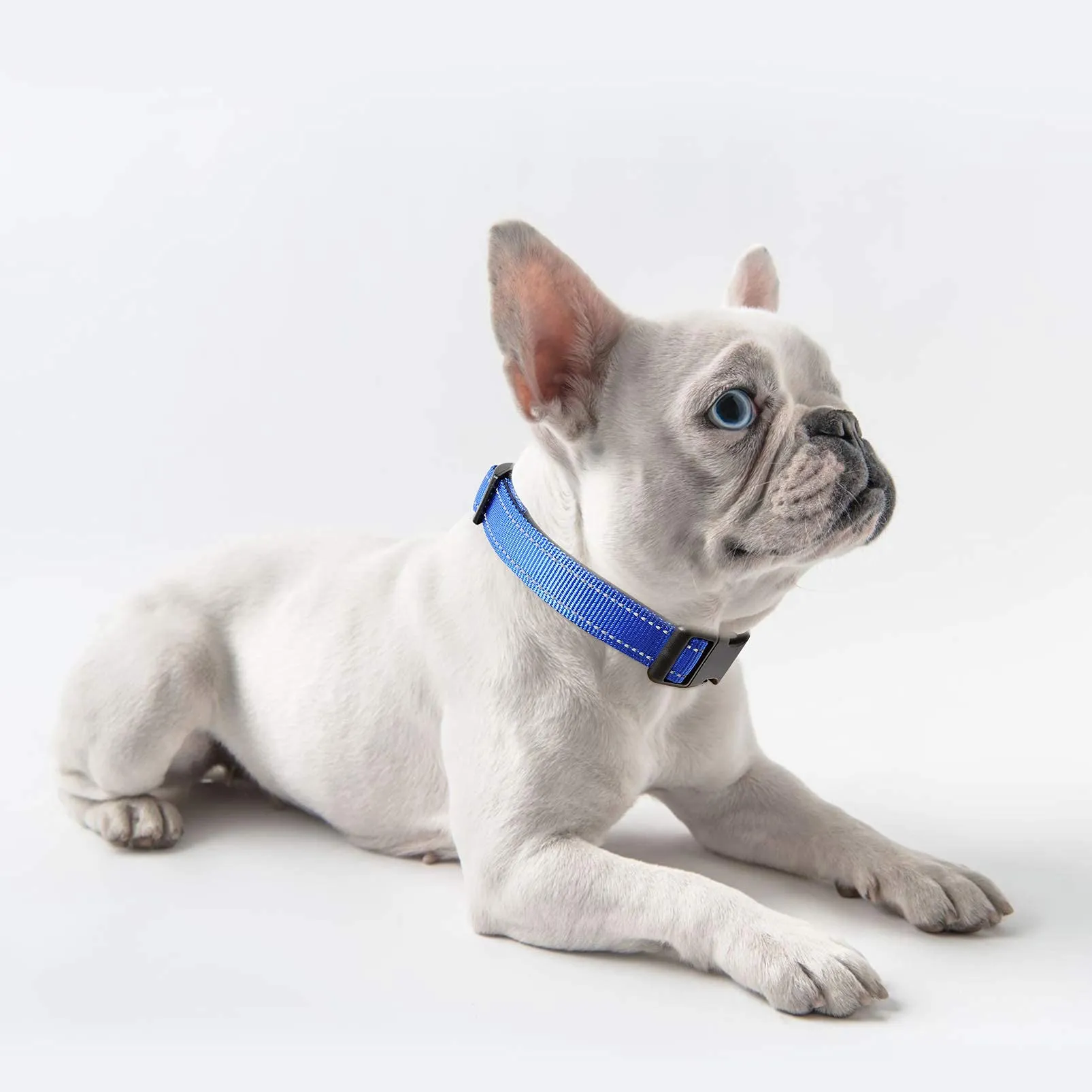 HEELE Collare per Cani, Collare Cane Riflettente Imbottito Nylon Regolabile Traspirante Collari per Cani, Blu Scuro, XS(20-30cm) - immagine 5