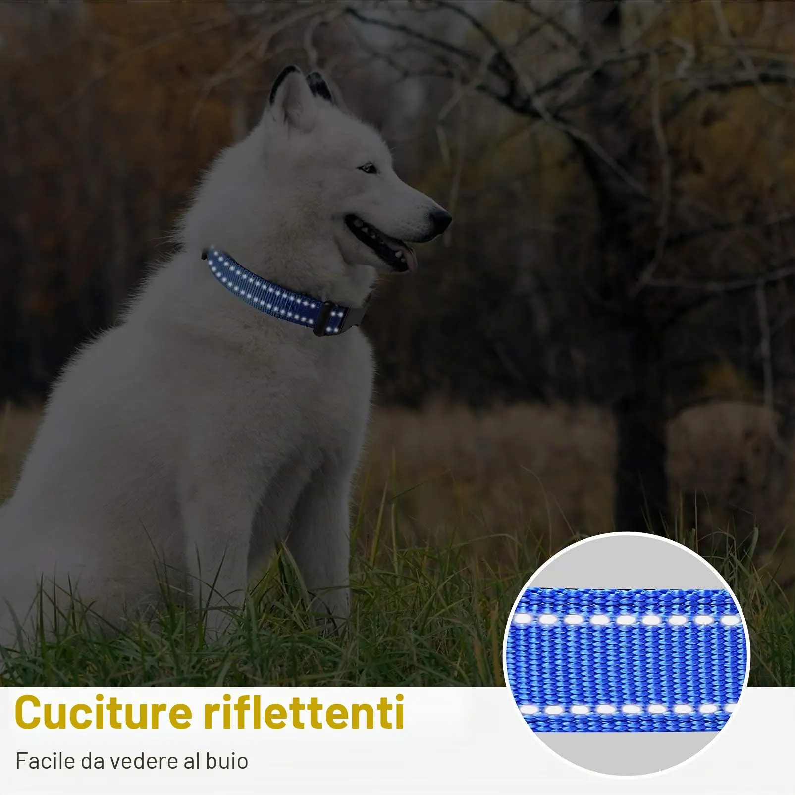 HEELE Collare per Cani, Collare Cane Riflettente Imbottito Nylon Regolabile Traspirante Collari per Cani, Blu Scuro, XS(20-30cm) - immagine 6