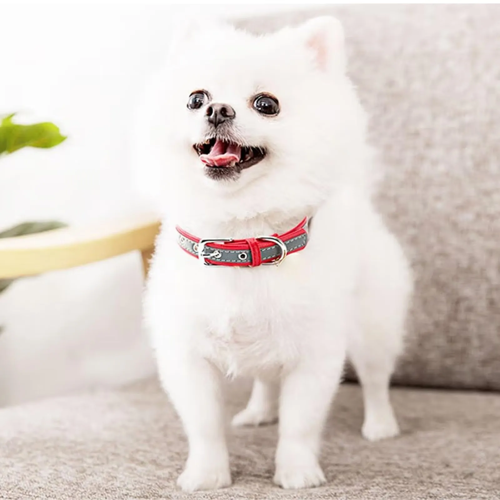 Yonsbox Collare Riflettente Personalizzato per Cani e Gatti, Collare in Microfibra Leggero e Durevole con Targhetta in Metallo Silenziosa, Sicurezza Notturna, Taglie XS-XXL - immagine 9