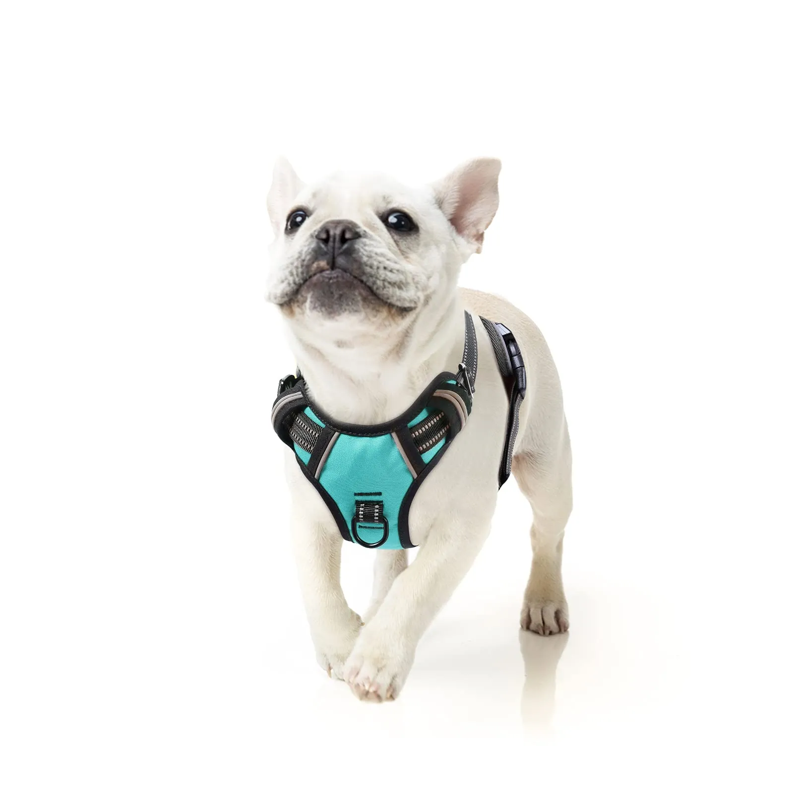 HEELE Pettorina Cane Riflettente No-pull Regolabile Robusta, Turchese, S - immagine 1