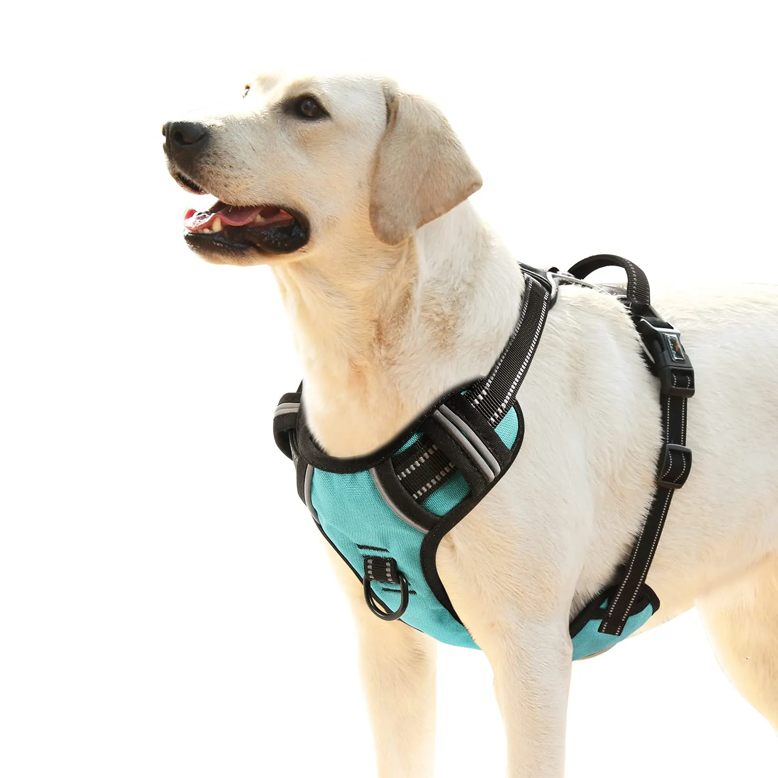 HEELE Pettorina Cane, No-Pull Imbracatura Traspirante e Riflettente, con 2 Ganci in Metallo + Comodo Maniglia, Pettorina Cane Taglia Grande Comodo per Camminare Jogging, Turchese, L - immagine 1
