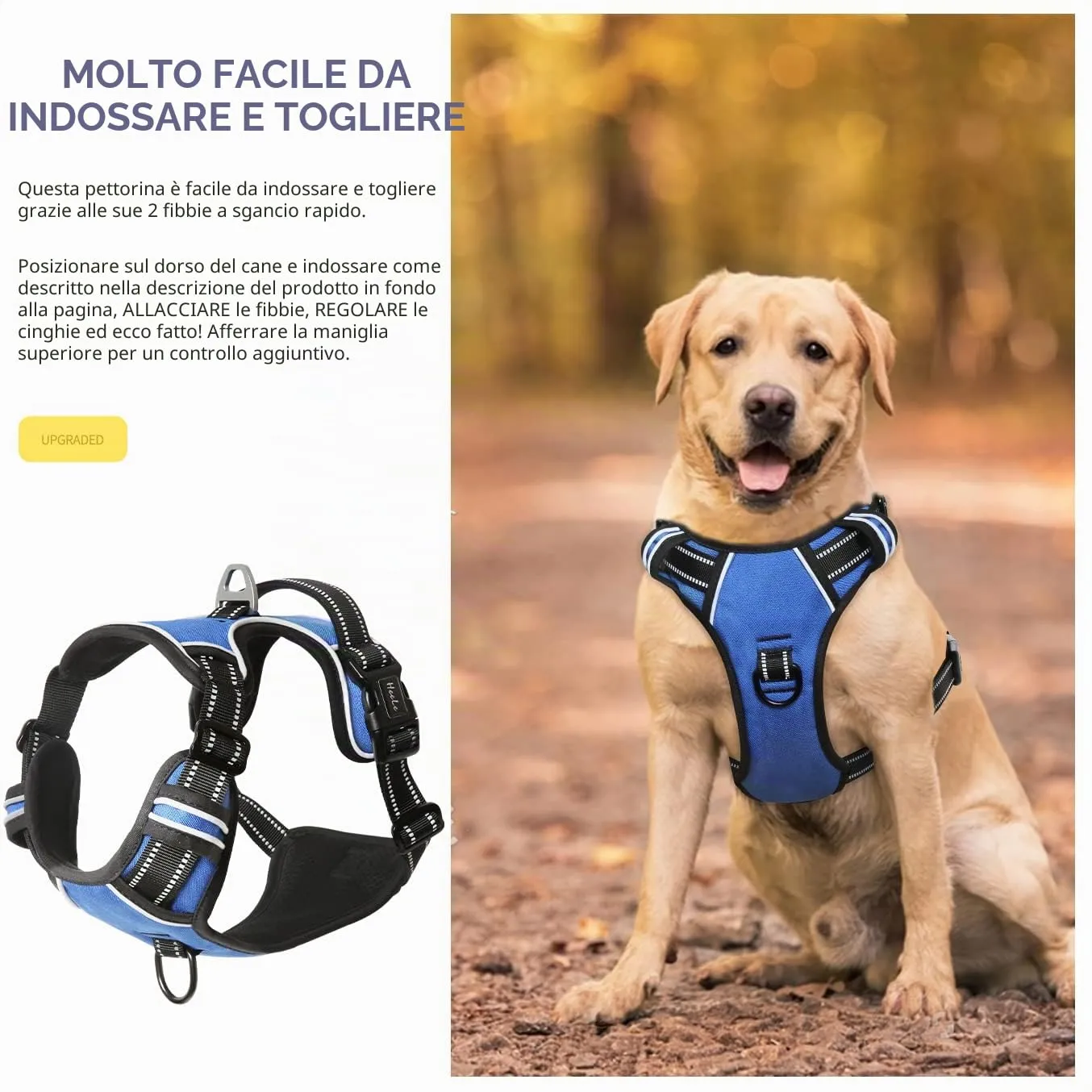 HEELE Pettorina Cane Taglia Grande Riflettente Pettorina Addestramento Cani Anti Tiro con 2 Ganci in Metallo + Comodo Maniglia, Gilet per Cani Regolabile per Camminare, Blu, XL - immagine 4