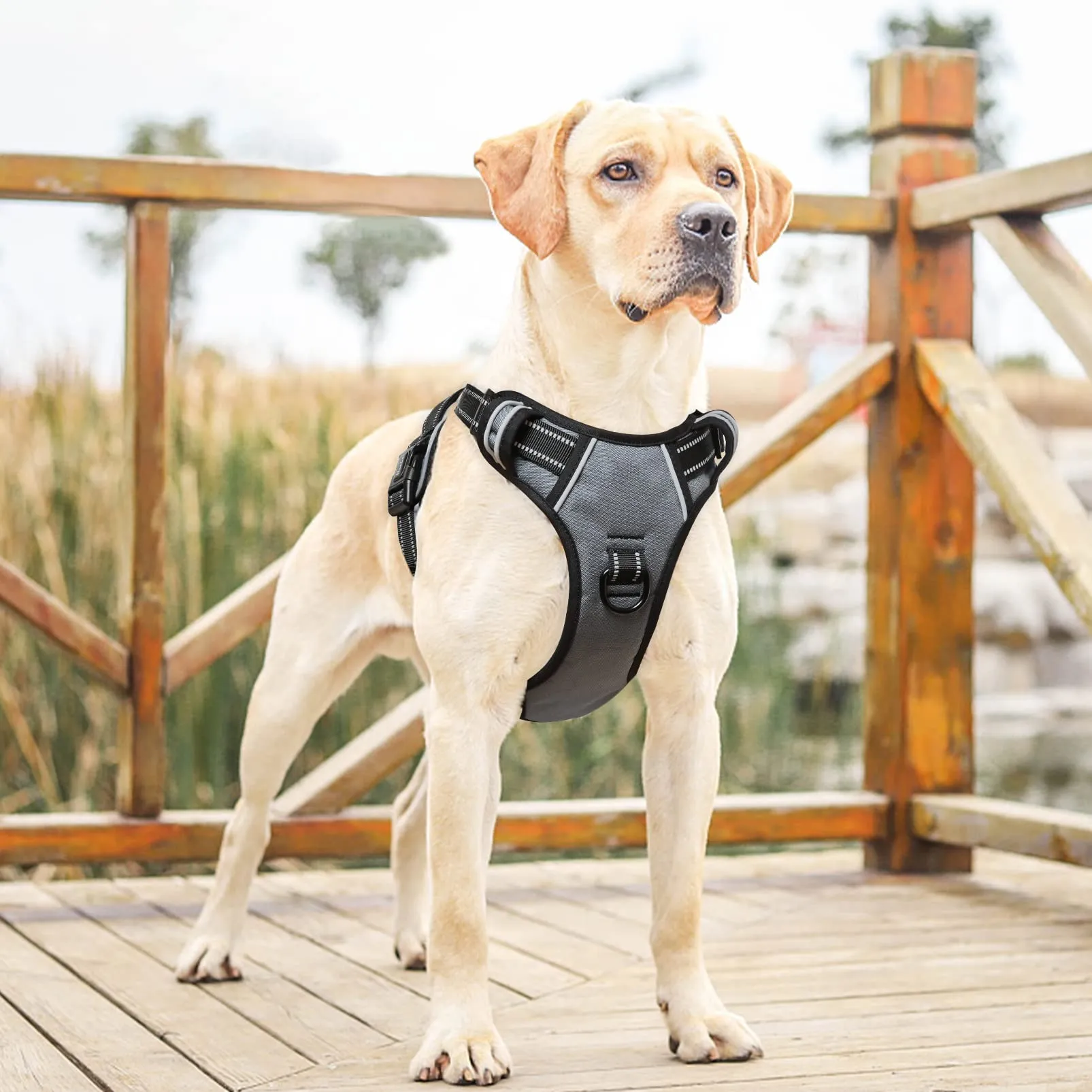 HEELE Pettorina Cane Taglia Grande Riflettente Pettorina Addestramento Cani Anti Tiro con 2 Ganci in Metallo + Comodo Maniglia, Gilet per Cani Regolabile per Camminare, Grigio, XL - immagine 4