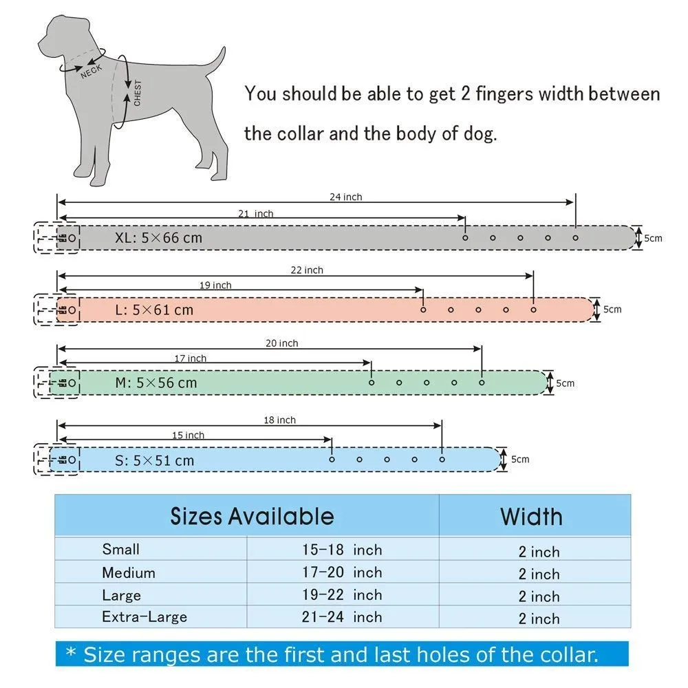 haoyueer Collare per cani con borchie a spillo, larghezza 5,5 cm, elegante collare per cani di taglia media e grande Pitbull - immagine 2