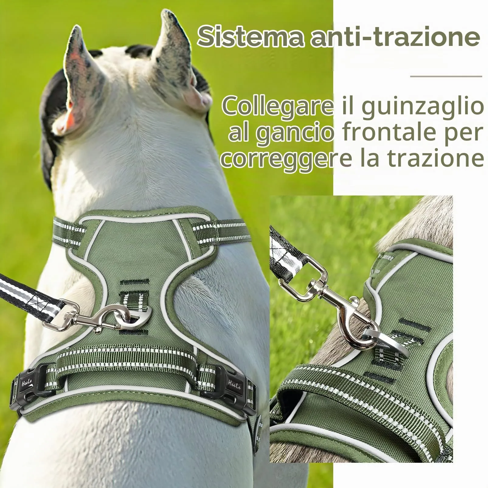 HEELE Pettorina Cane Taglia Media Riflettente Pettorina Addestramento Cani Anti Tiro con 2 Ganci in Metallo + Comodo Maniglia, Gilet per Cani Regolabile per Camminare, Verde, M - immagine 4