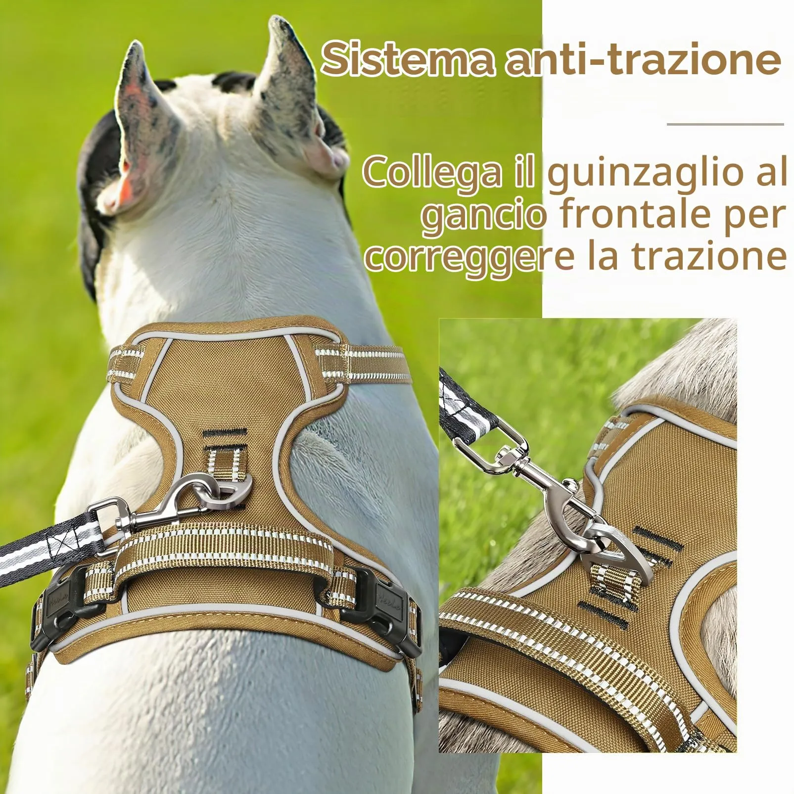 HEELE Pettorina Cane, No-Pull Imbracatura Traspirante e Riflettente, con Gancio in Metallo e Manico Imbottita, Pettorina Cane Taglia Grande Comodo per Camminare Jogging, Bronzo, L - immagine 6