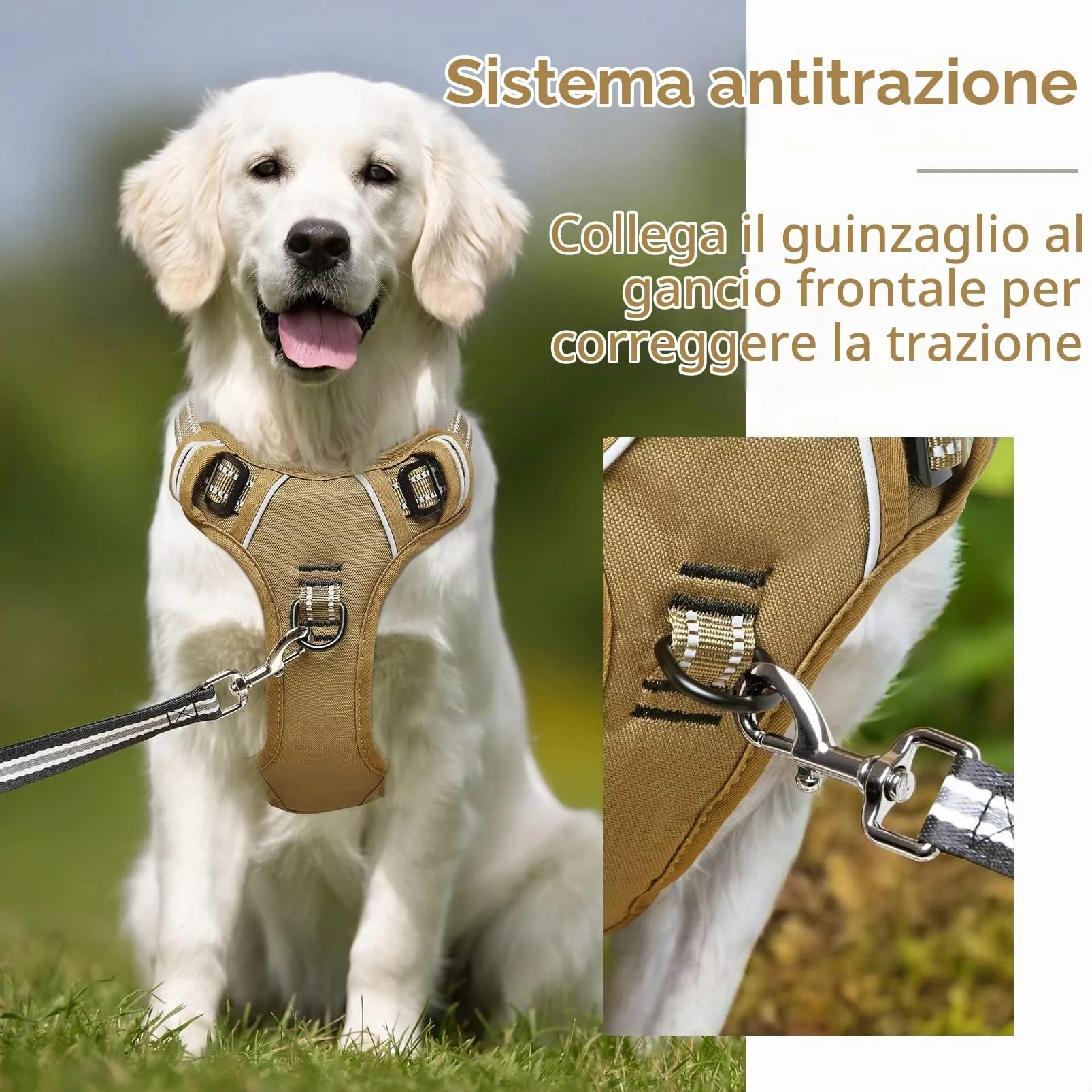HEELE Pettorina Cane Riflettente Regolabile No-pull con Manico, Bronzo, S - immagine 4