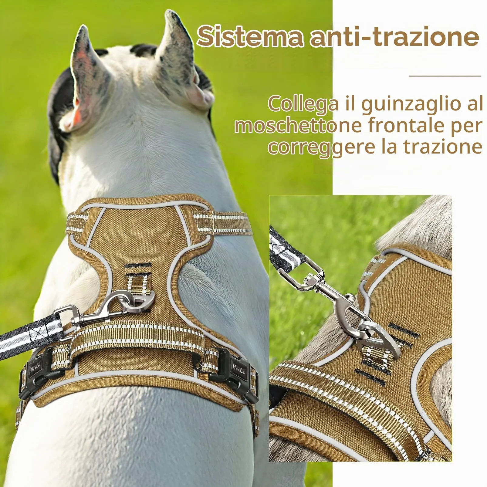 HEELE Pettorina Cane Riflettente Regolabile No-pull con Manico, Bronzo, S - immagine 5