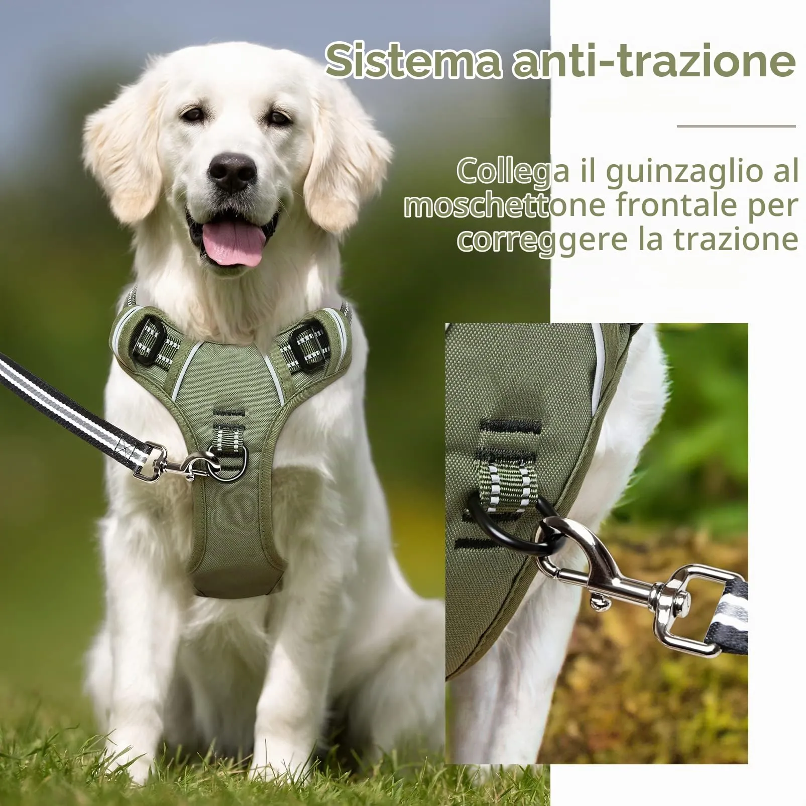 HEELE Pettorina Cane, No-Pull Imbracatura Traspirante e Riflettente, con Gancio in Metallo e Manico Imbottita, Pettorina Cane Taglia Grande Comodo per Camminare Jogging, Verde, L - immagine 4
