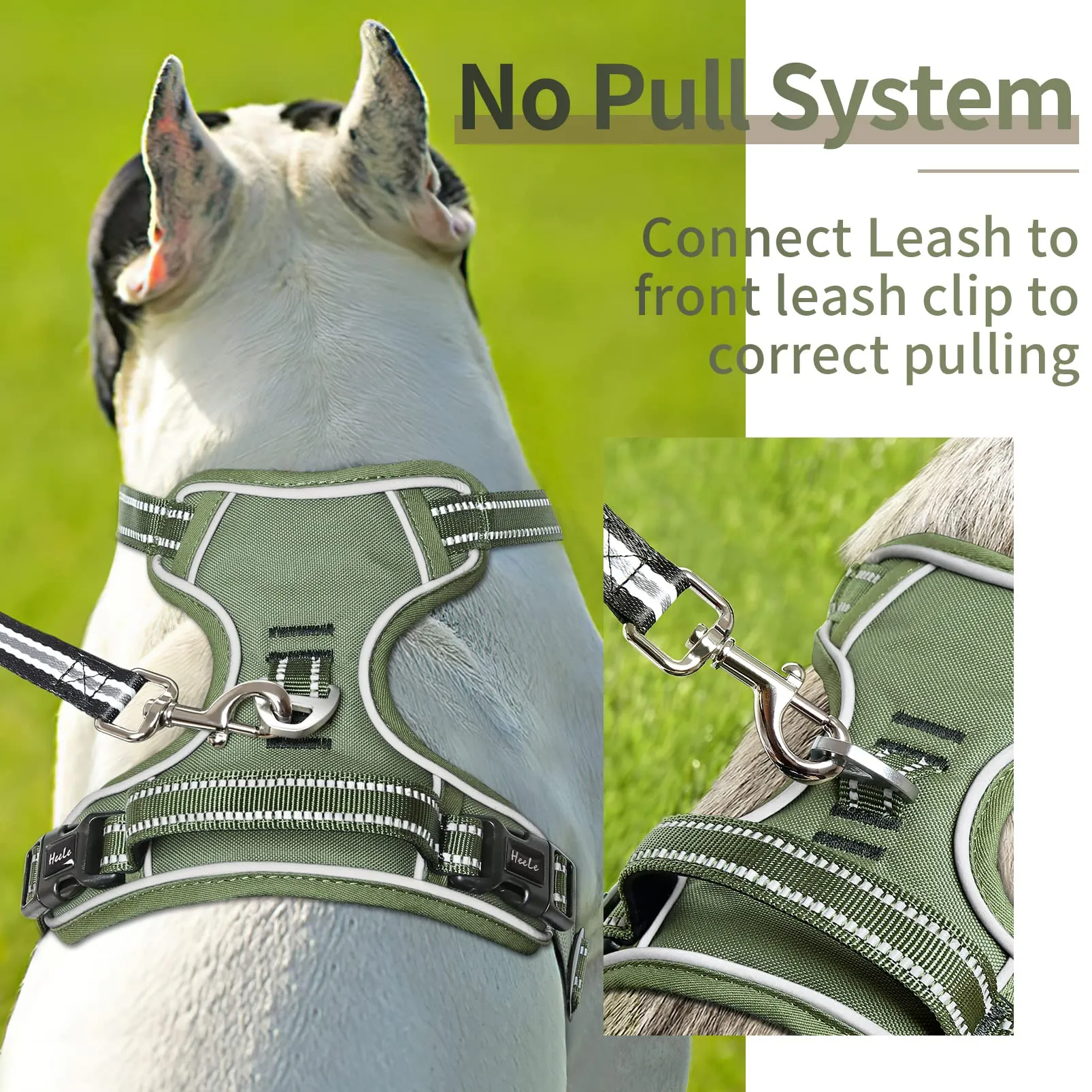 HEELE Pettorina Cane No Pull Imbracatura Riflettente e Traspirante, con Gancio in Metallo e Manico Imbottita, Pettorina Cane Taglia Grande per Addestrare Le Passeggiate, Verde, XL - immagine 4