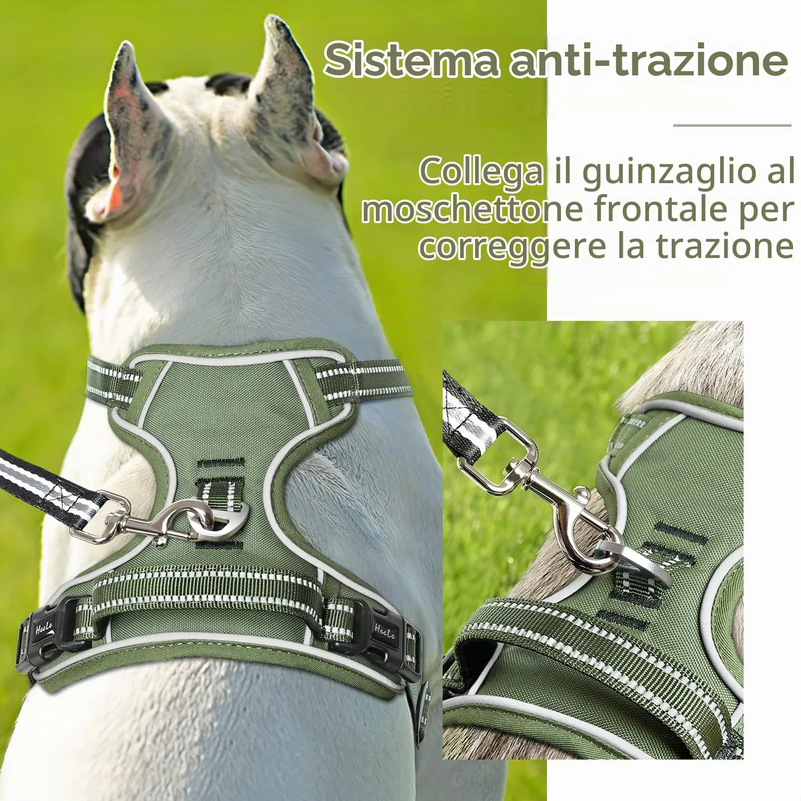 HEELE Pettorina Cane Riflettente Regolabile No-pull con Manico, Verde, S - immagine 5