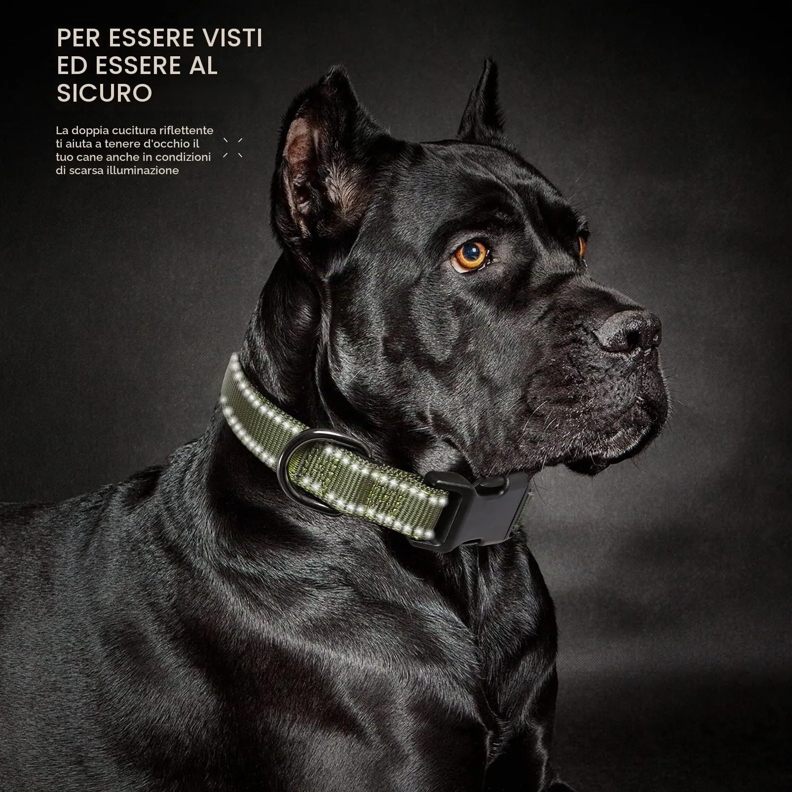 HEELE Collare per Cani, Collare Cane Riflettente Imbottito Nylon Regolabile Traspirante Collari per Cani di Taglia Media, Verde, M(34-52cm) - immagine 8