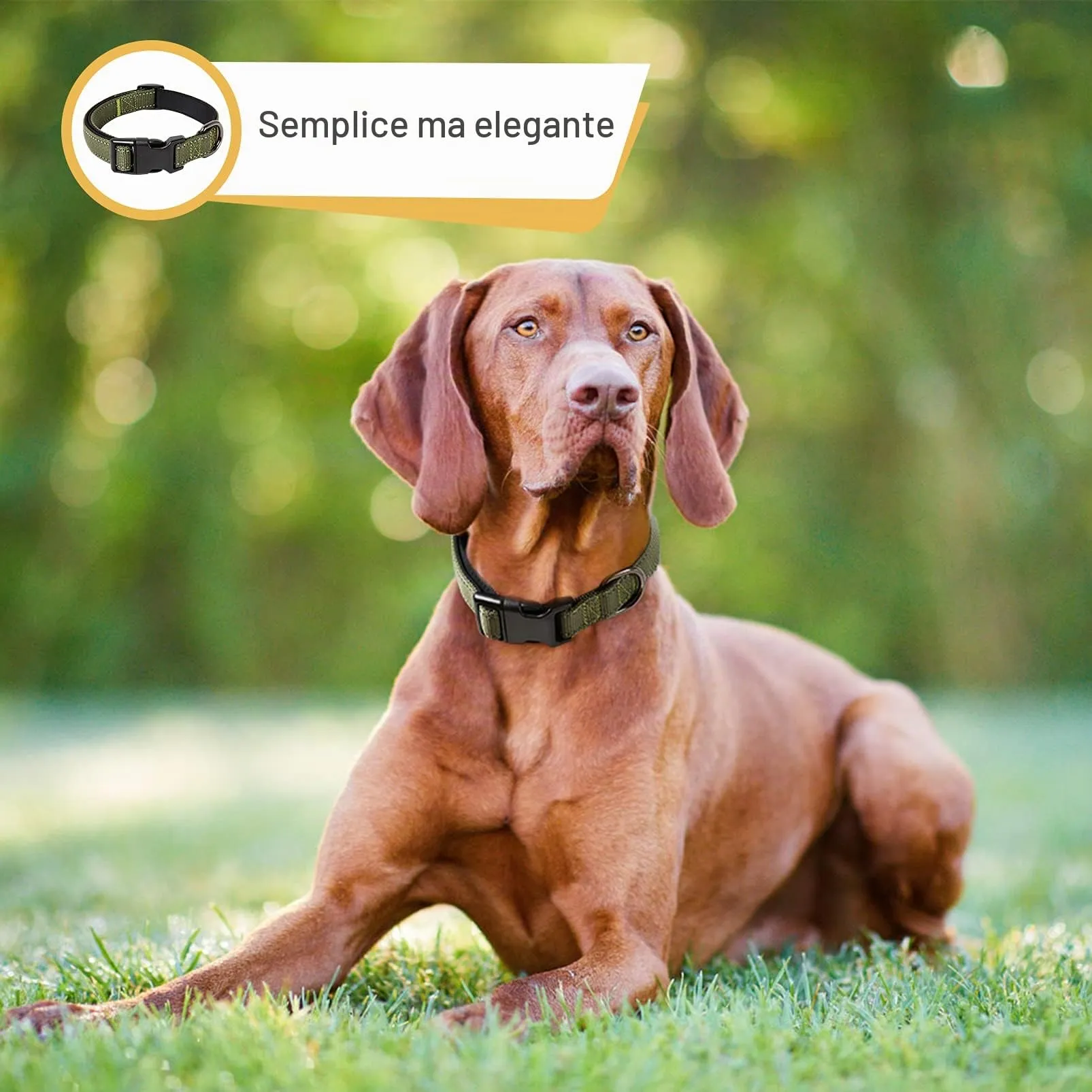 HEELE Collare per Cani, Collare Cane Riflettente Imbottito Nylon Regolabile Traspirante Collari per Cani di Taglia Grande, Verde, L(44-66cm) - immagine 4