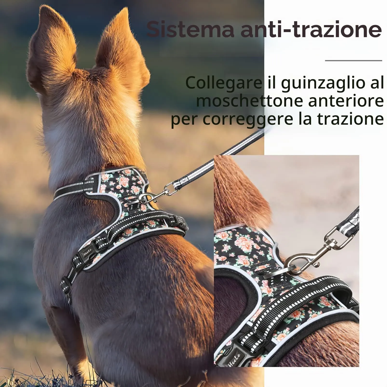 HEELE Pettorina Cane Taglia Piccola con Motivo Stampato, Riflettente Pettorina Addestramento Cani Anti Tiro con 2 Ganci in Metallo + Maniglia, Gilet per Cani Regolabile, Fiori-Nero, S - immagine 3