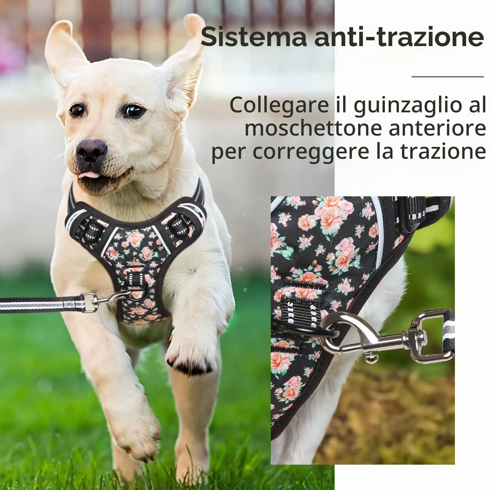 HEELE Pettorina Cane Taglia Piccola con Motivo Stampato, Riflettente Pettorina Addestramento Cani Anti Tiro con 2 Ganci in Metallo + Maniglia, Gilet per Cani Regolabile, Fiori-Nero, S - immagine 4