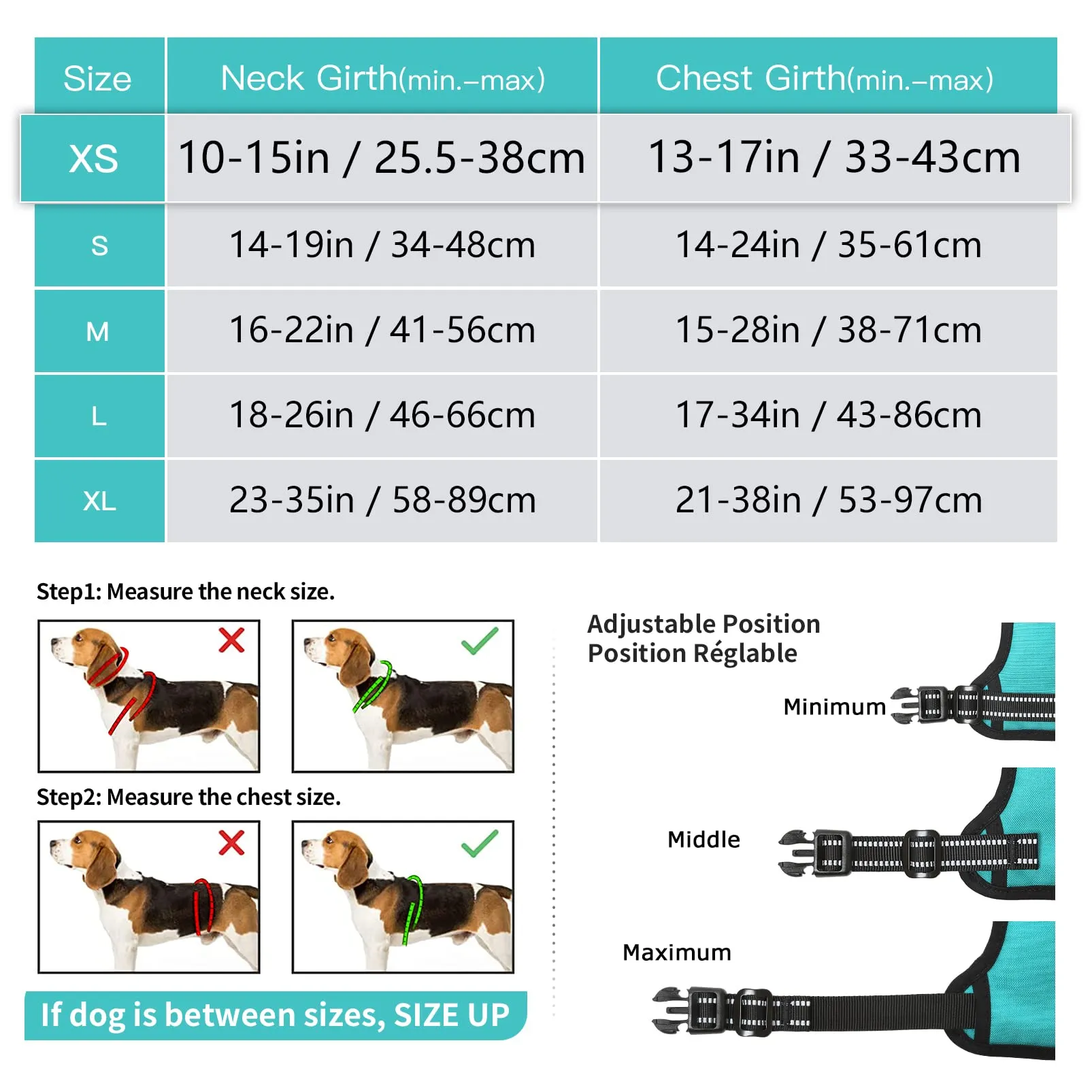 HEELE Pettorina Cane Riflettente No-pull Regolabile Robusta, Turchese, XS - immagine 4