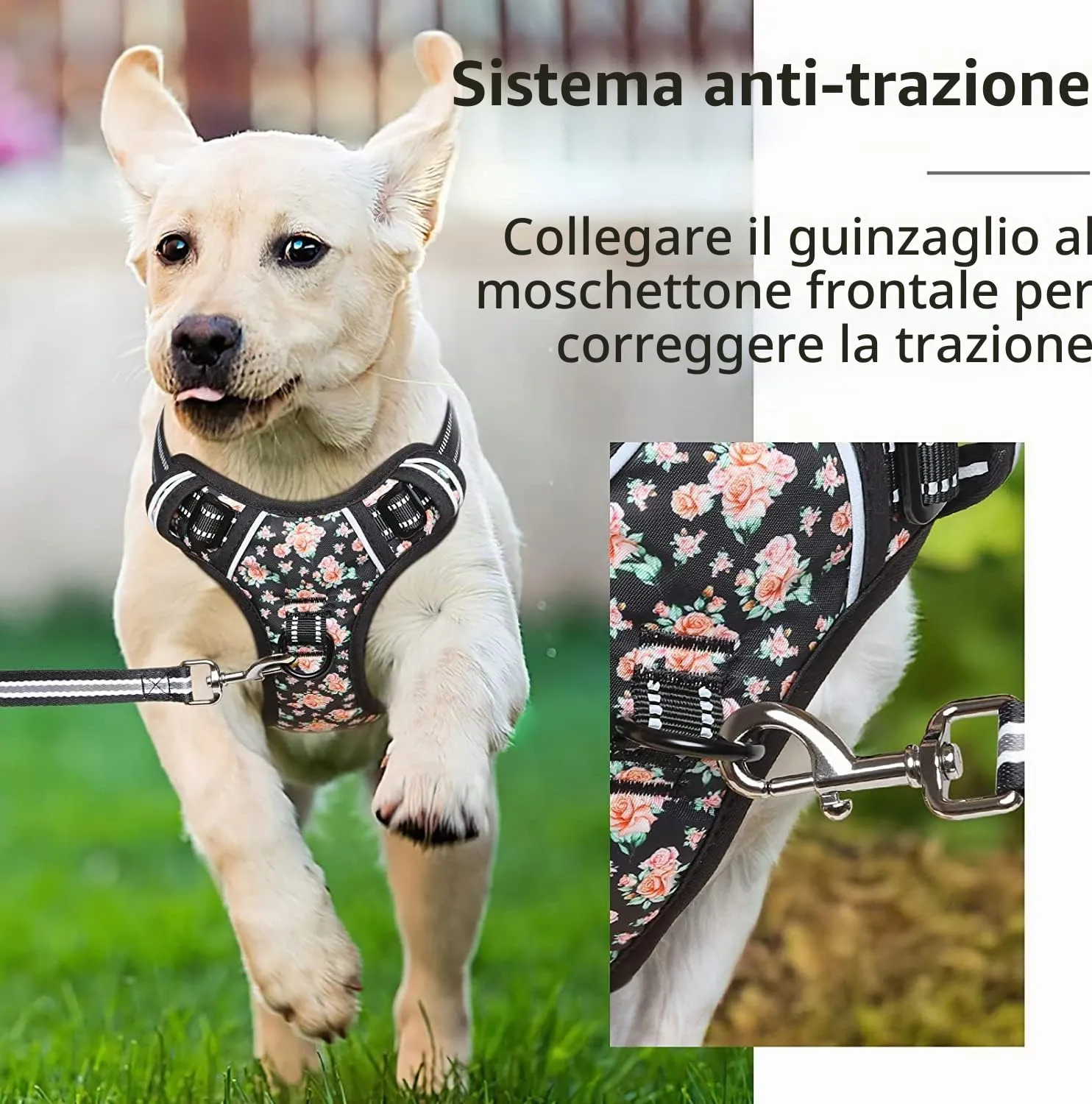 HEELE Pettorina Cane Taglia Piccola con Motivo Stampato, Riflettente Pettorina Addestramento Cani Anti Tiro con 2 Ganci in Metallo + Maniglia, Gilet per Cani Regolabile, Fiori-Nero, XS - immagine 4
