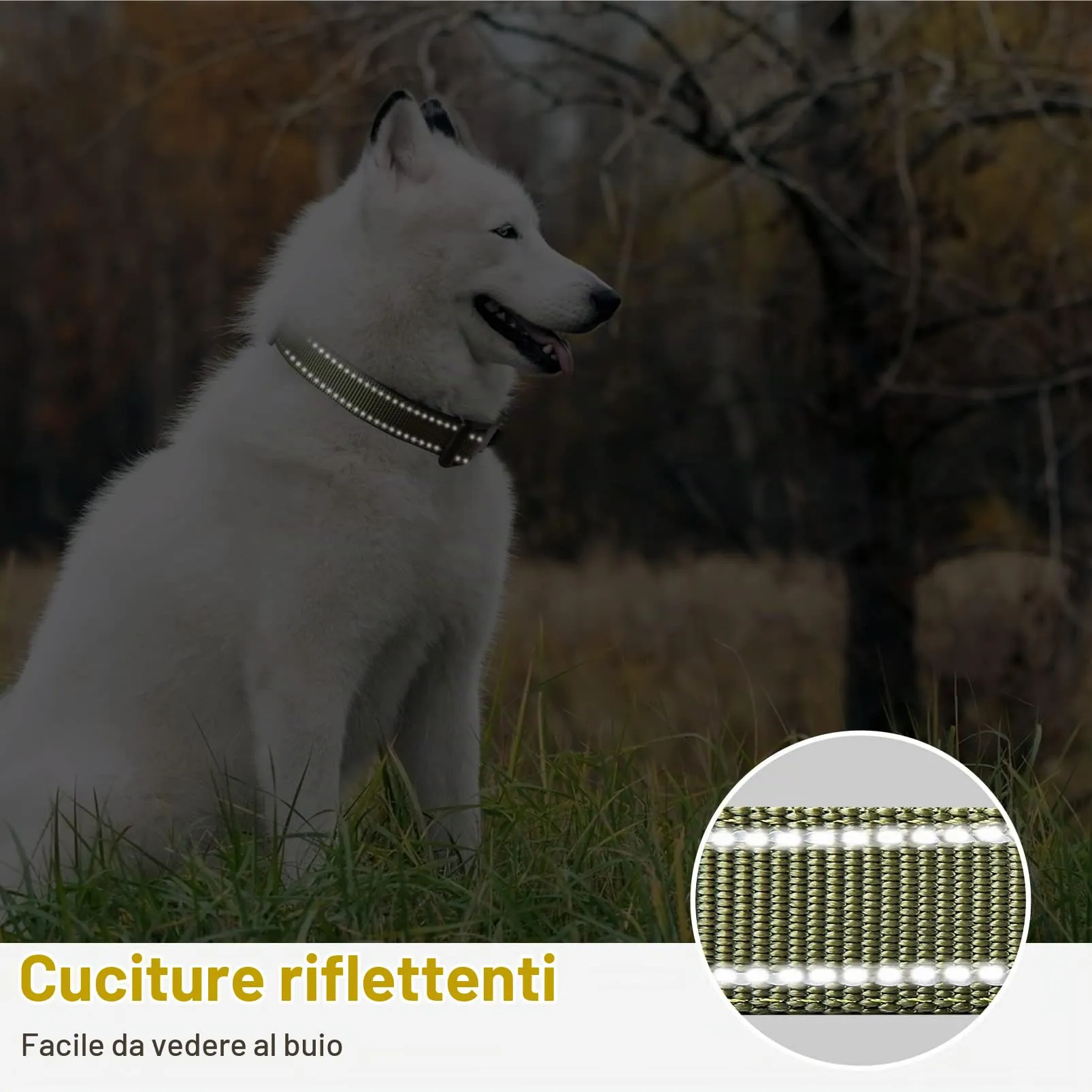 HEELE Collare per Cani, Collare Cane Riflettente Imbottito Nylon Regolabile Traspirante Collari per Cani di Taglia Piccola, Verde, XS(20-30cm) - immagine 4