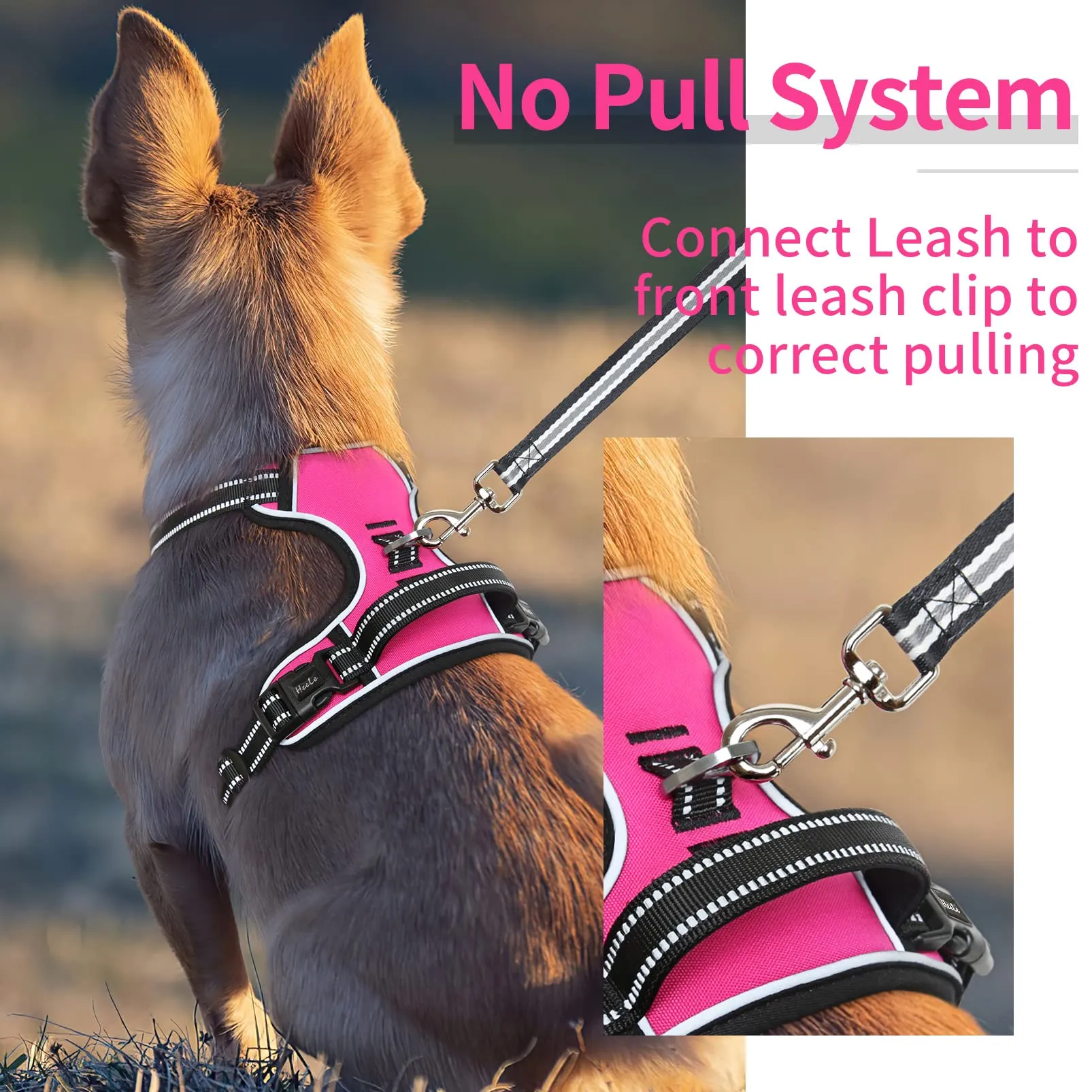 HEELE Pettorina Cane No-pull Riflettente Traspirante, Rosso Rosa, S - immagine 5