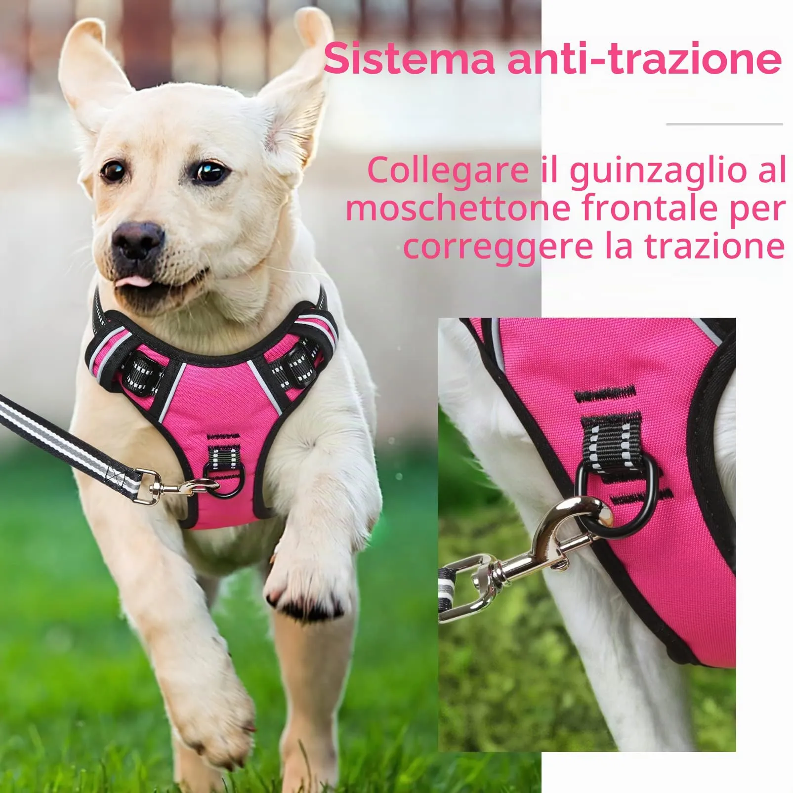 HEELE Pettorina Cane No-pull Riflettente Traspirante, Rosso Rosa, XS - immagine 5