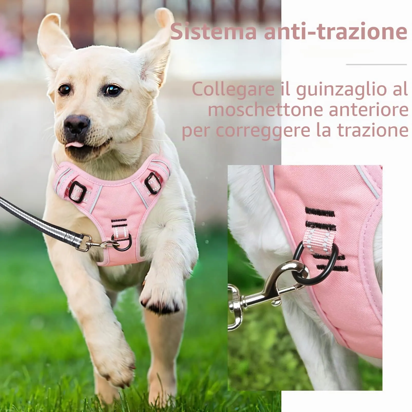 HEELE Pettorina Cane, No-Pull Imbracatura Traspirante e Riflettente, con Gancio in Metallo e Manico Imbottita, Pettorina Cane Taglia Grande Comodo per Camminare Jogging, Rosa Pallido, L - immagine 4