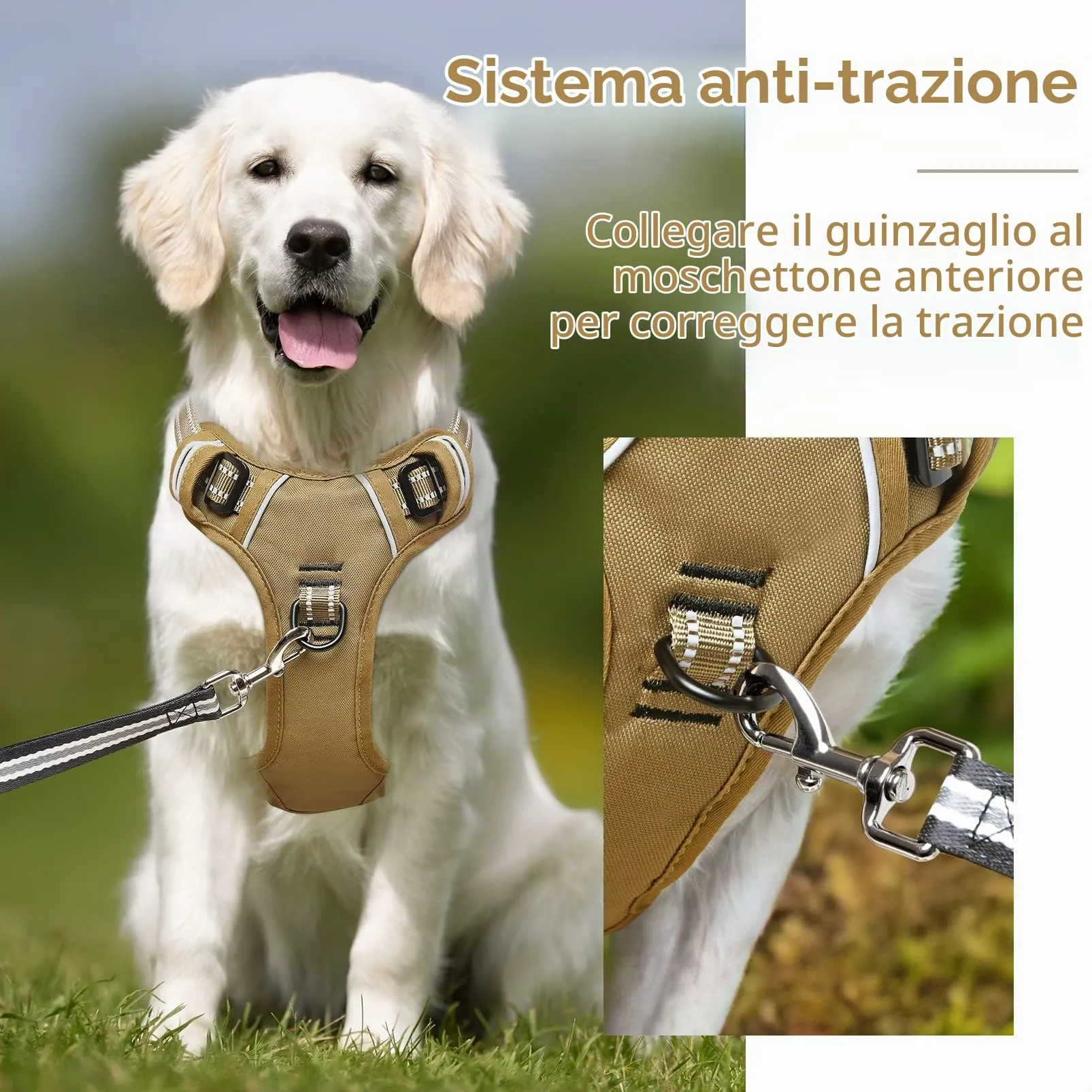 HEELE Pettorina Cane Riflettente Regolabile No-pull con Manico, Bronzo, XS - immagine 3
