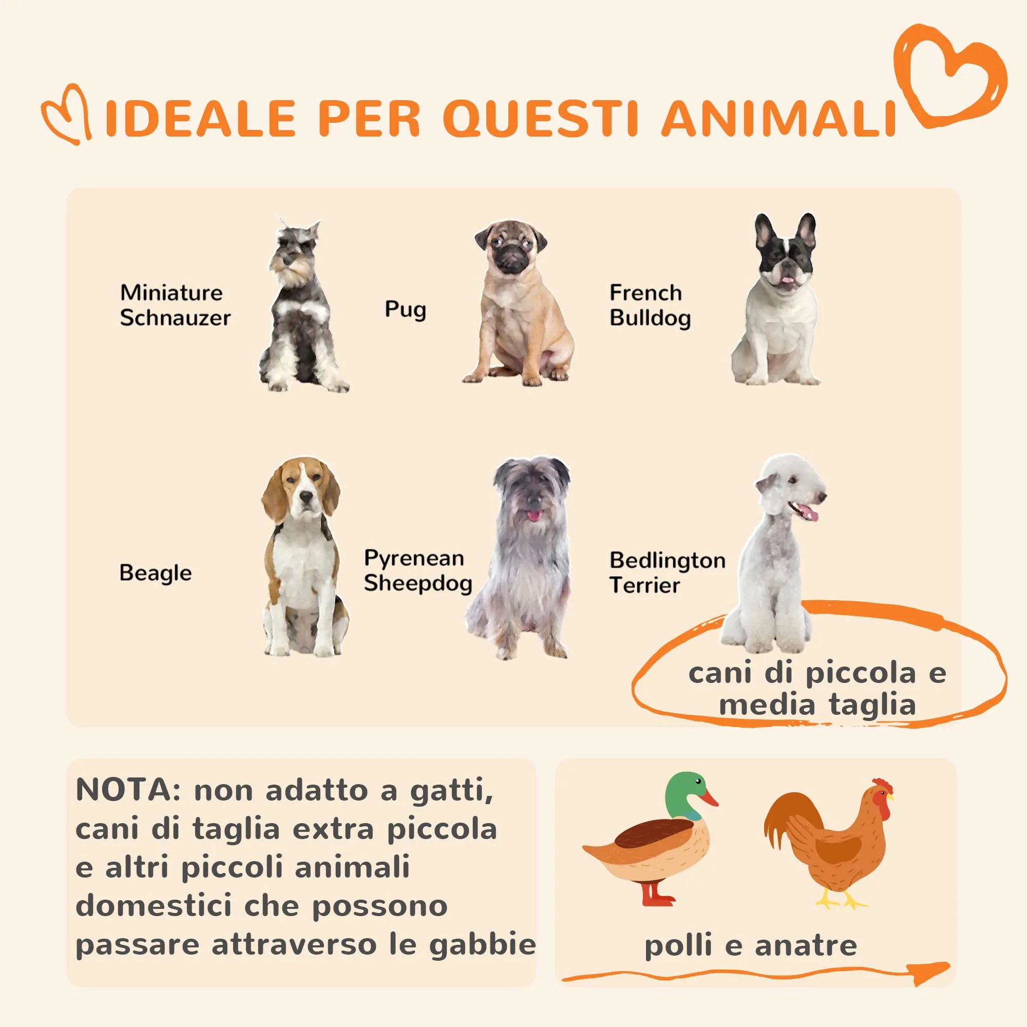 PawHut Recinto per Cani Taglia Piccola e Media con Tettuccio 122x122x138cm - immagine 3