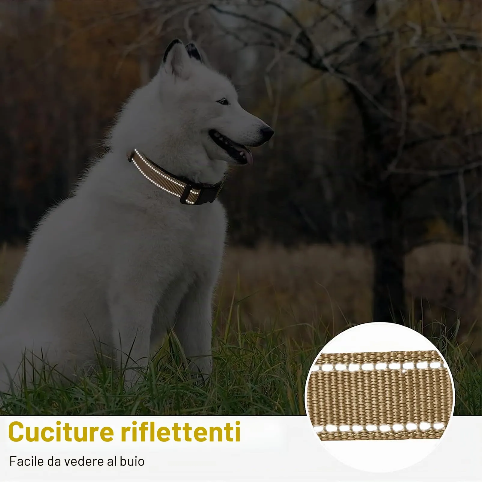 HEELE Collare per Cani, Collare Cane Riflettente Imbottito Nylon Regolabile Traspirante Collari per Cani di Taglia Piccola, Marrone, S(26-38cm) - immagine 5