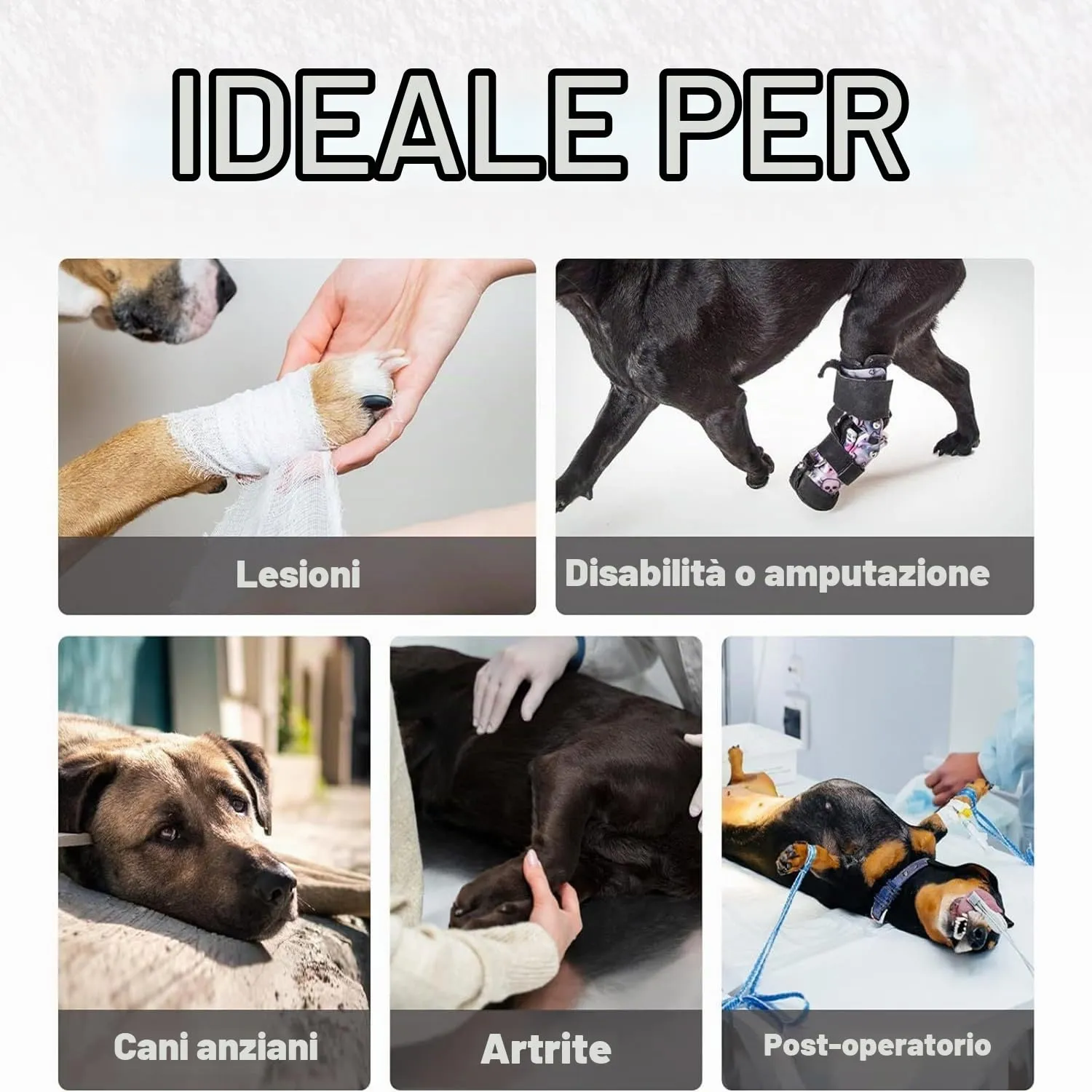 Pettorina Morbida Regolabile per Cani Disabili Feriti Artritici (XL) - immagine 6