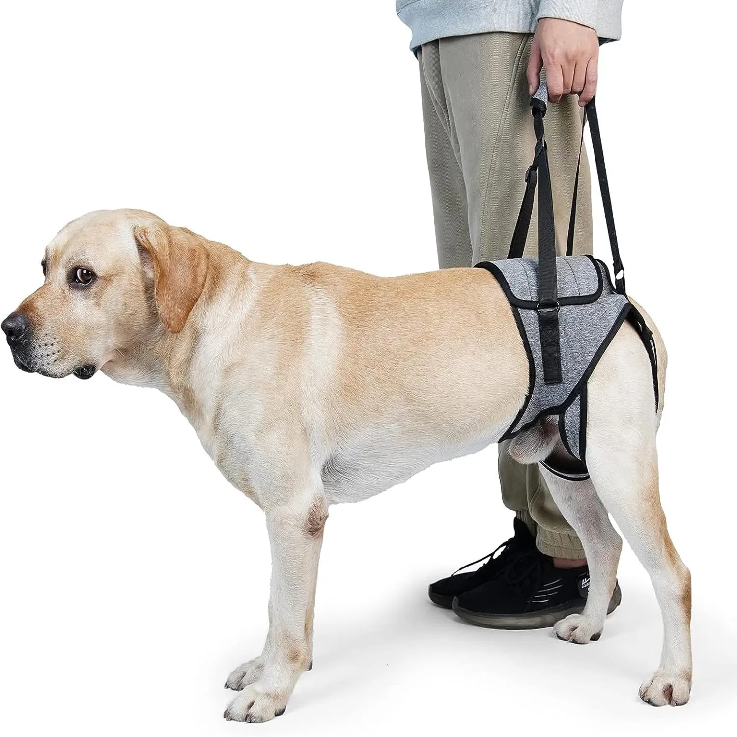 Pettorina Morbida Regolabile per Cani Disabili Feriti Artritici (M) - immagine 1