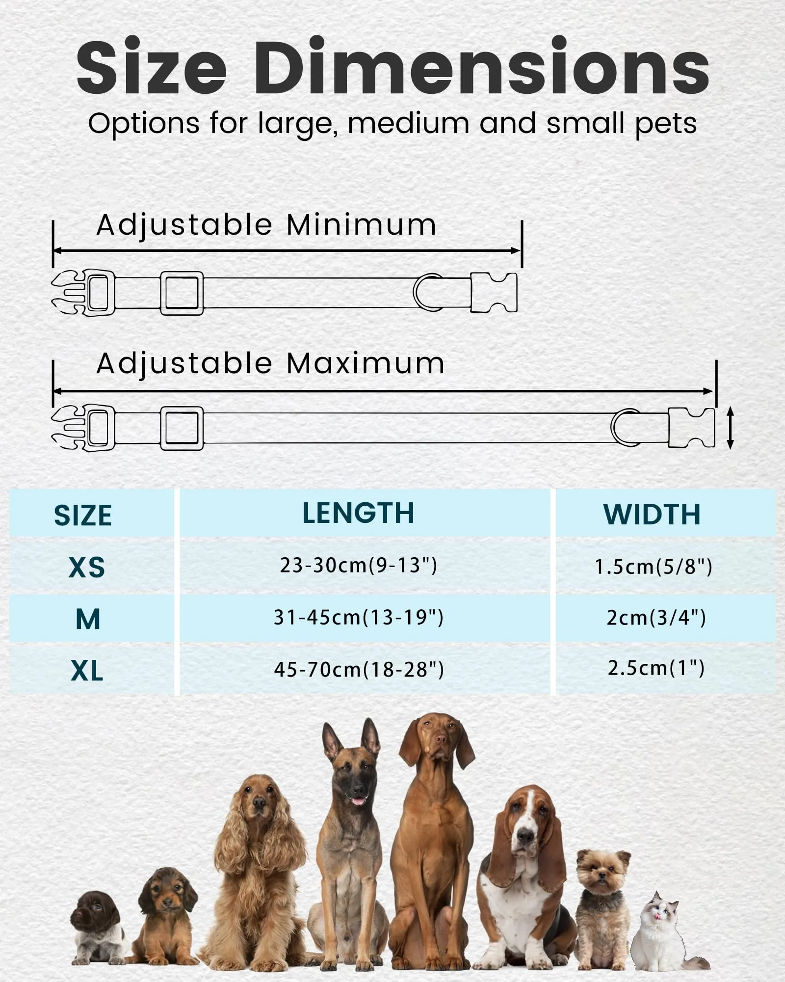 Collare per Cane Personalizzato di Piccola Media e Grande Taglia - Riflettente Collare Cani con Nome e Telefono Numero, Collari per Gatto con Sgancio Rapido e Fibbia in Metallo - immagine 5