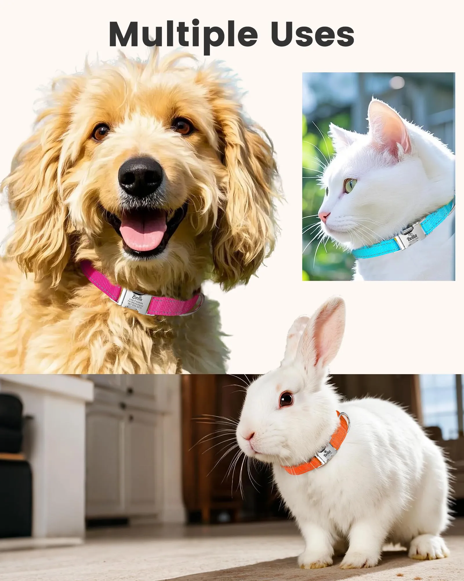 Collare per Cane Personalizzato di Piccola Media e Grande Taglia - Riflettente Collare Cani con Nome e Telefono Numero, Collari per Gatto con Sgancio Rapido e Fibbia in Metallo - immagine 6
