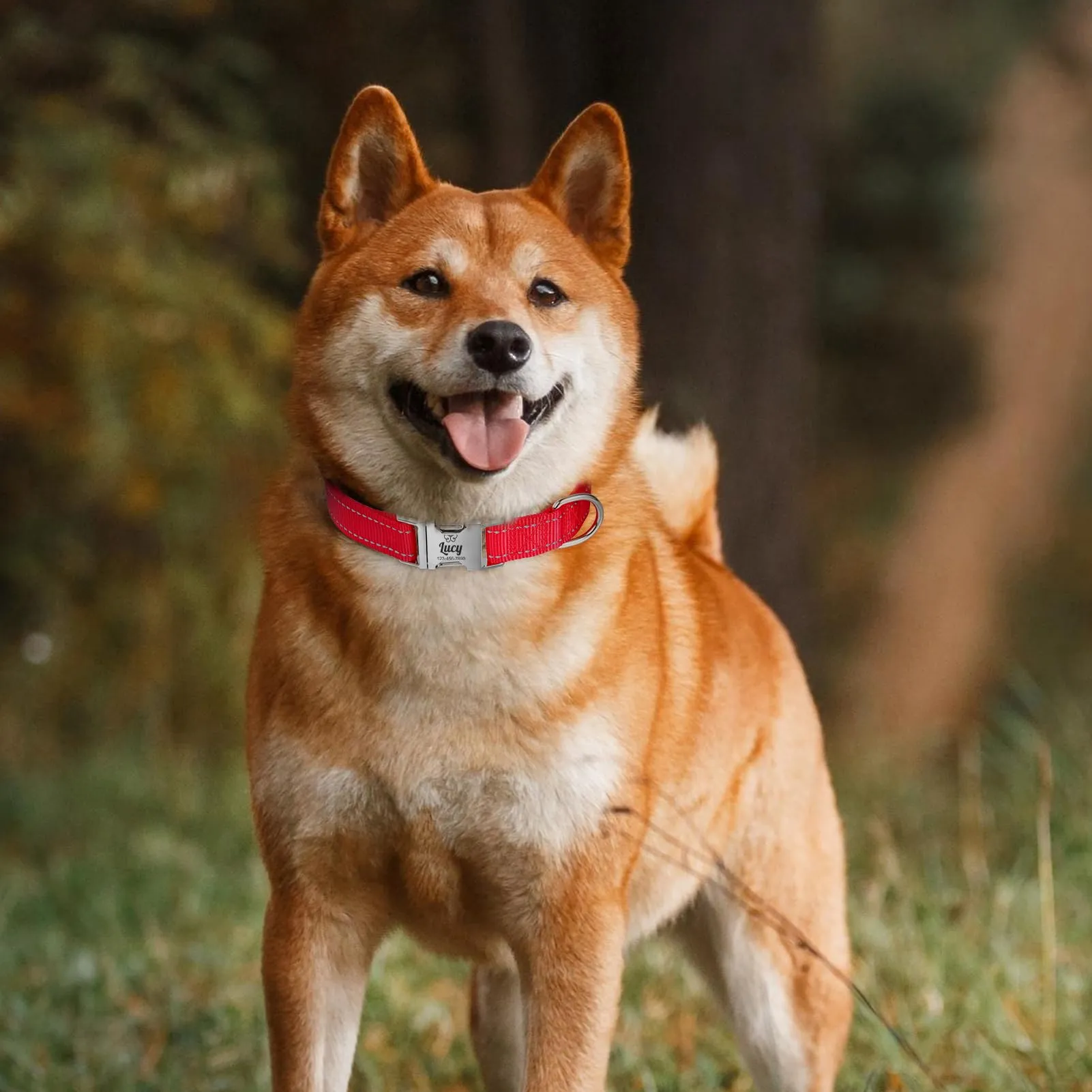Collare per Cani personalizzato per Cani di Media Taglia - Collare per Cani Riflettente Con Nome E Numero di Telefono inciso, Collari per Animali in Nylon Con Sgancio Rapido E Fibbia in Metallo - immagine 4