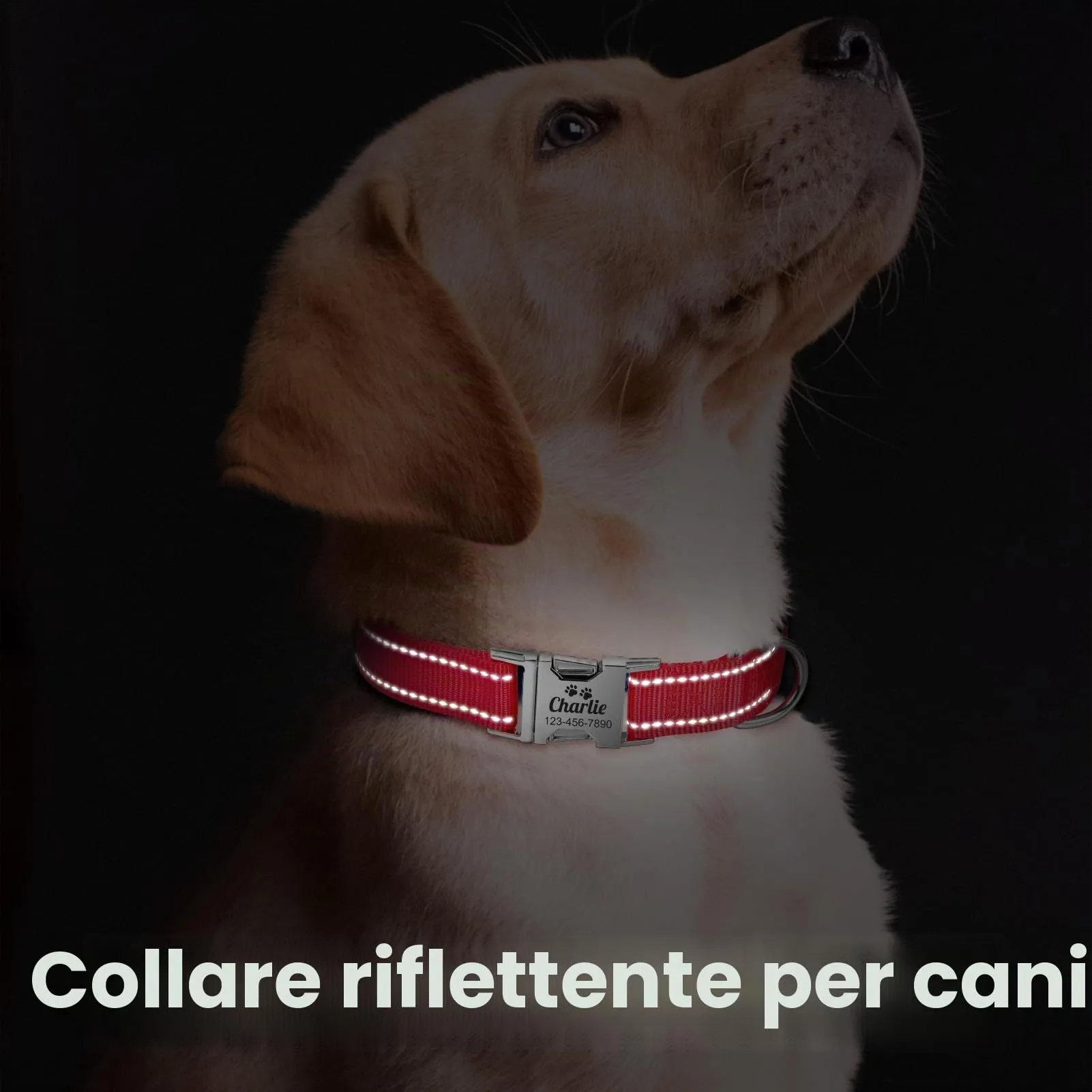 Collare per Cani personalizzato per Cani di Media Taglia - Collare per Cani Riflettente Con Nome E Numero di Telefono inciso, Collari per Animali in Nylon Con Sgancio Rapido E Fibbia in Metallo - immagine 5