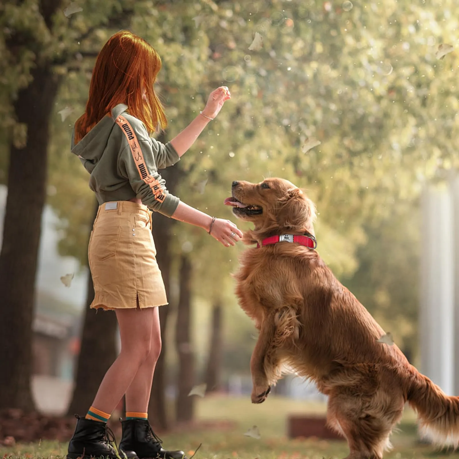 Collare per Cani personalizzato per Cani di Media Taglia - Collare per Cani Riflettente Con Nome E Numero di Telefono inciso, Collari per Animali in Nylon Con Sgancio Rapido E Fibbia in Metallo - immagine 9