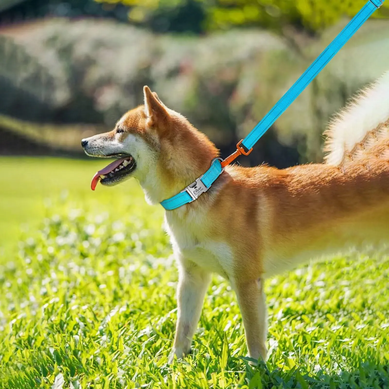 Collare per Cane in Nylon Riflettente Personalizzato, Collana con nome e numero di telefono incisi, Fibbia Staccabile Durevole, Collari Di Regolabili per Cani Di Piccola, Media e Grande Taglia - immagine 2