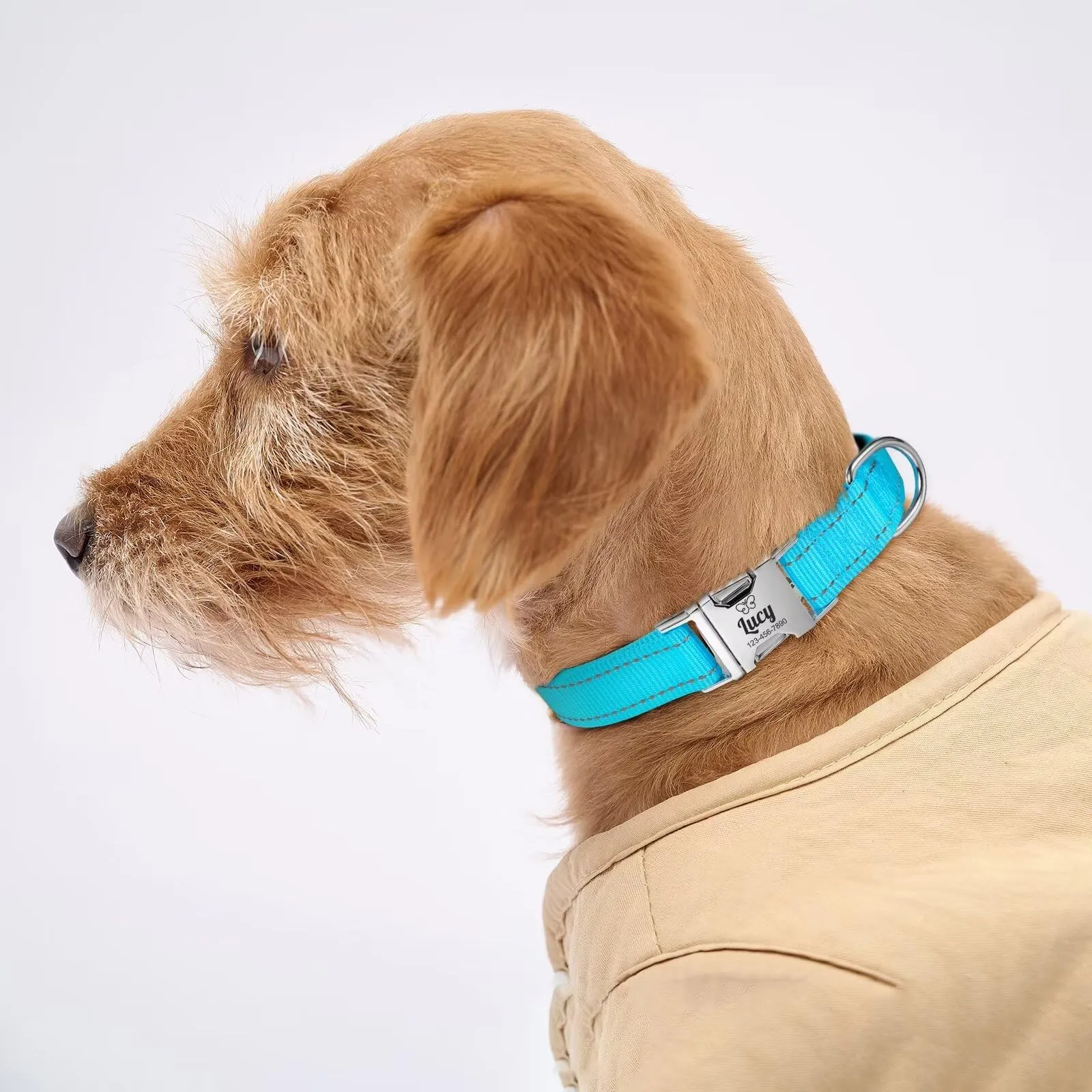 Collare per Cane in Nylon Riflettente Personalizzato, Collana con nome e numero di telefono incisi, Fibbia Staccabile Durevole, Collari Di Regolabili per Cani Di Piccola, Media e Grande Taglia - immagine 4
