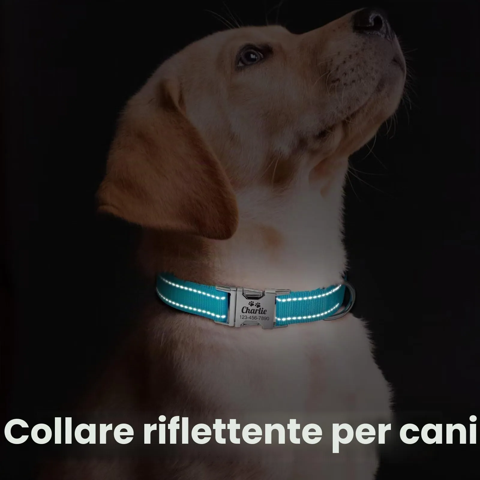 Collare per Cane in Nylon Riflettente Personalizzato, Collana con nome e numero di telefono incisi, Fibbia Staccabile Durevole, Collari Di Regolabili per Cani Di Piccola, Media e Grande Taglia - immagine 5