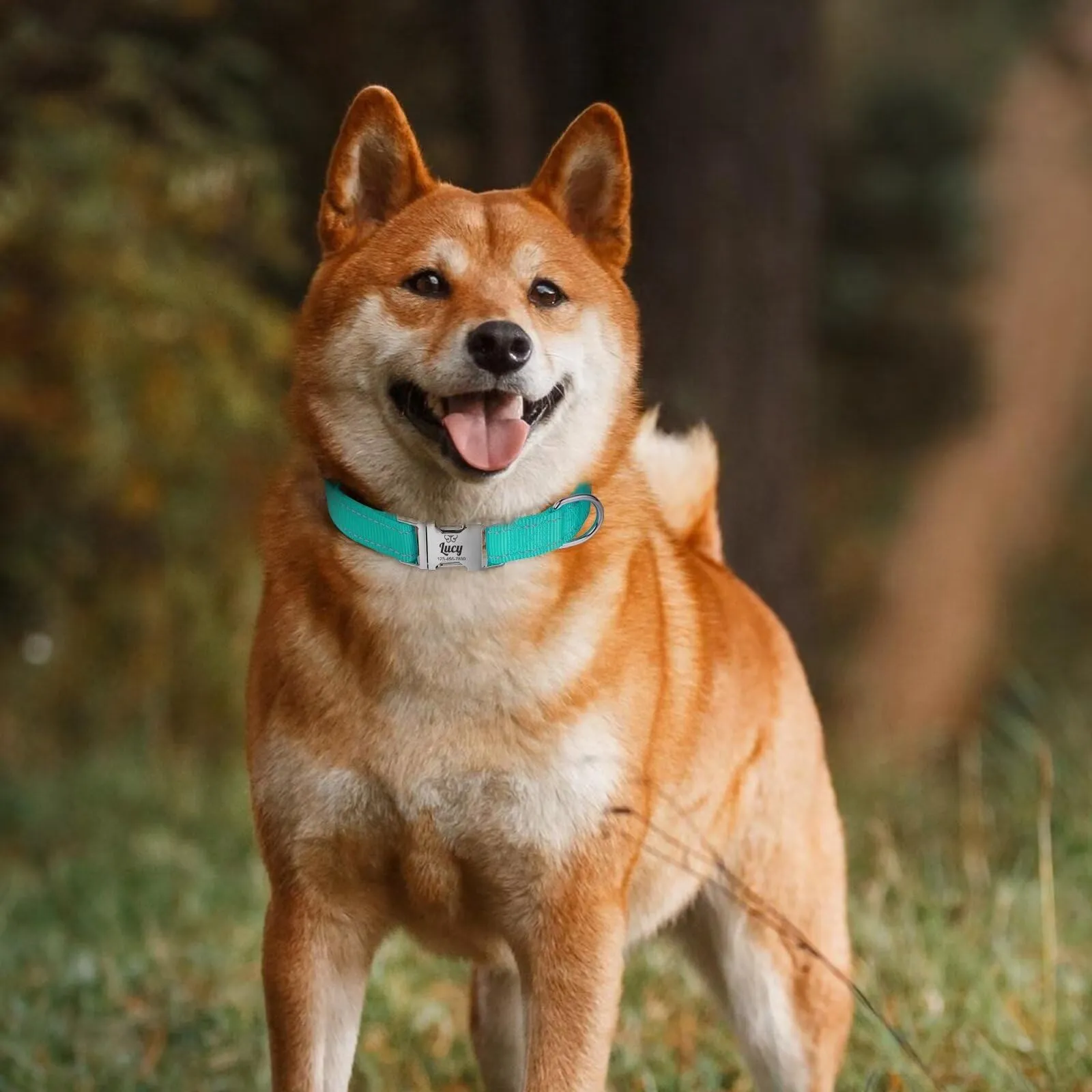 Riflettente Collare Cani Personalizzato - Collare Cane Gatto Con Nome E Numero di Telefono inciso, Collari per Animali in Nylon Con Sgancio Rapido E Fibbia in Metallo - immagine 3