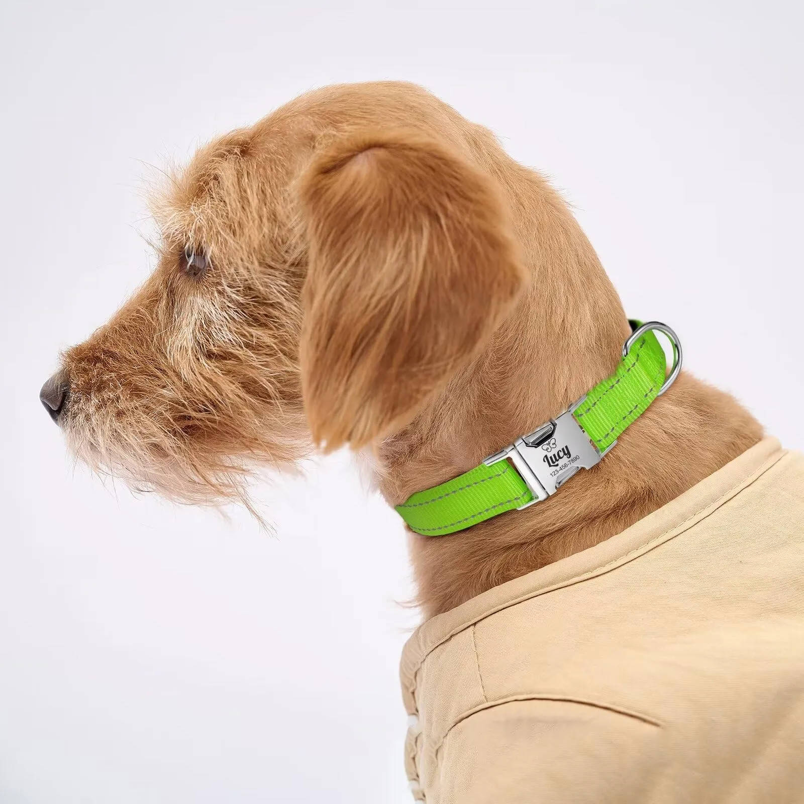 Collare Cane personalizzato - Collare gatto Riflettente Con Nome E Numero di Telefono inciso, Collari per Animali in Nylon Con Sgancio Rapido E Fibbia in Metallo - immagine 4