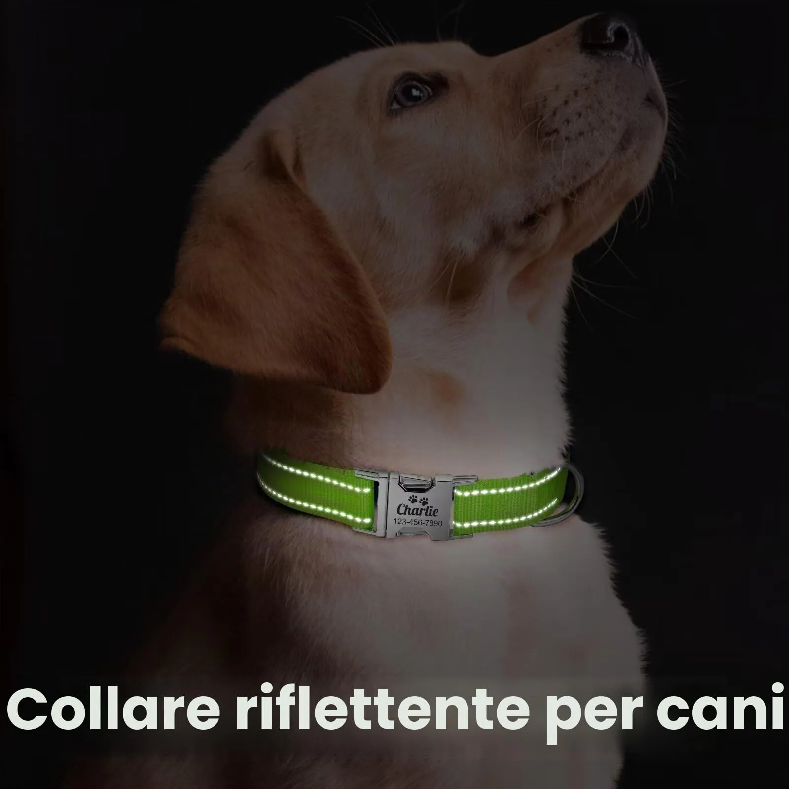 Collare Cane personalizzato - Collare gatto Riflettente Con Nome E Numero di Telefono inciso, Collari per Animali in Nylon Con Sgancio Rapido E Fibbia in Metallo - immagine 5