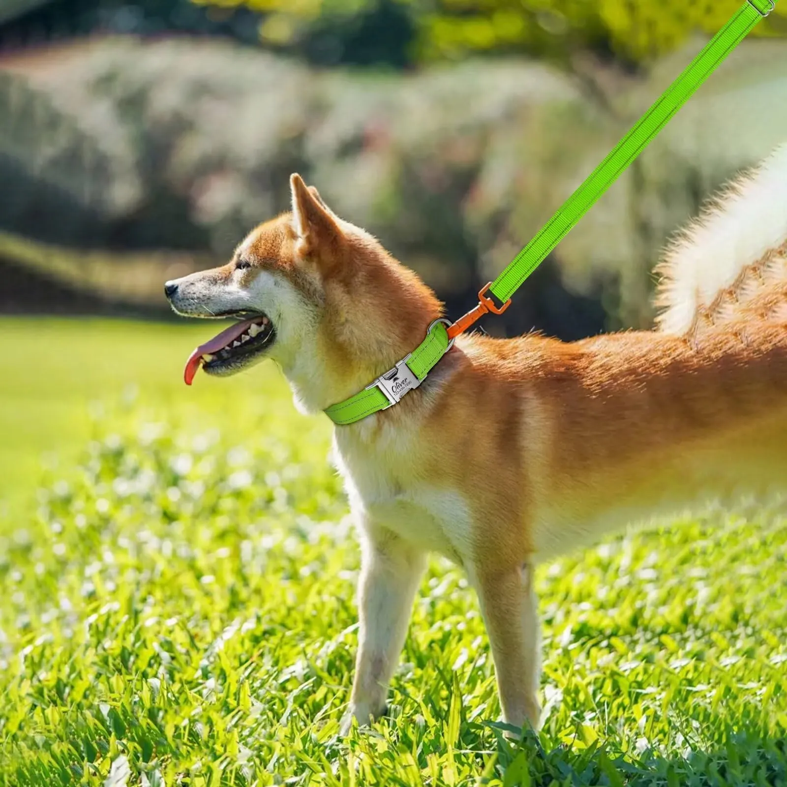 Collare Cane personalizzato - Collare gatto Riflettente Con Nome E Numero di Telefono inciso, Collari per Animali in Nylon Con Sgancio Rapido E Fibbia in Metallo - immagine 8