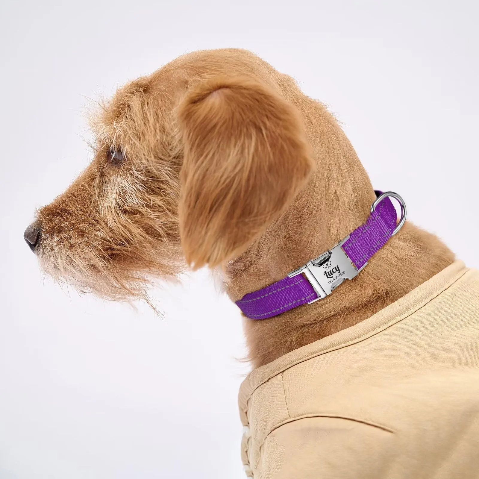 Collare Cani personalizzato - Collare Gatto Riflettente Con Nome E Numero di Telefono inciso, Collari per Animali in Nylon Con Sgancio Rapido E Fibbia in Metallo - immagine 4