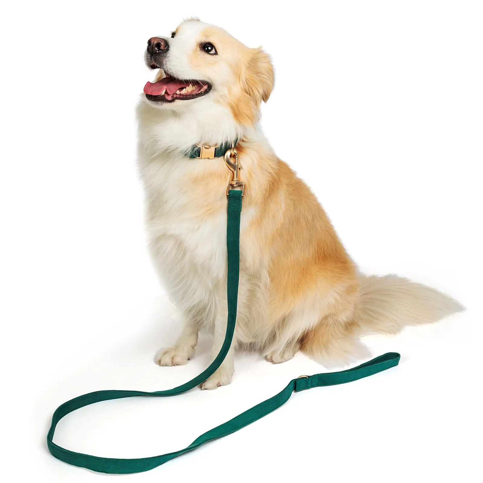 YUDOTE Set di Collare e Guinzaglio per Cani Grande, Morbido Collare e Guinzaglio in Corduroy Non Irritante Combinazione Abbinata per Passeggiate Quotidiane, Verde - immagine 2