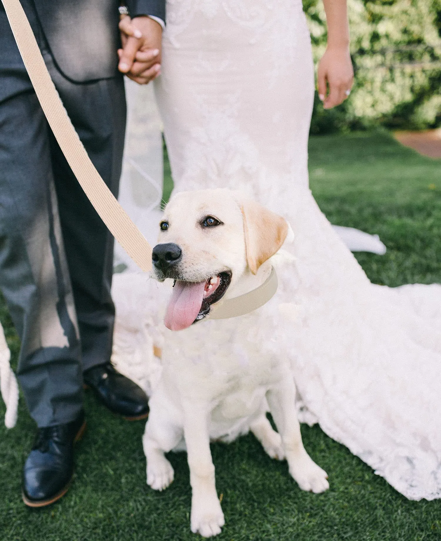 YUDOTE Set di Collare e Guinzaglio per Cani Grande, Morbido Collare e Guinzaglio in Corduroy Non Irritante Combinazione Abbinata per Passeggiate Quotidiane, Bianco Crema - immagine 5